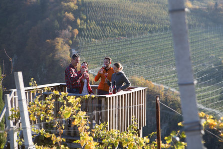 Organic winery Zollweghof  2 suedtirol.info