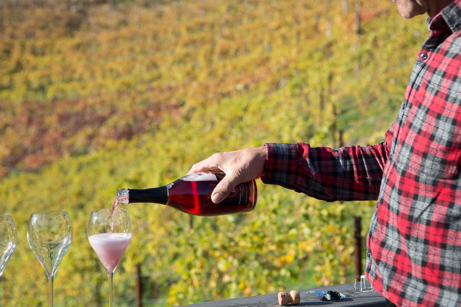 Bio-Weingut Zollweghof Lana 3 suedtirol.info