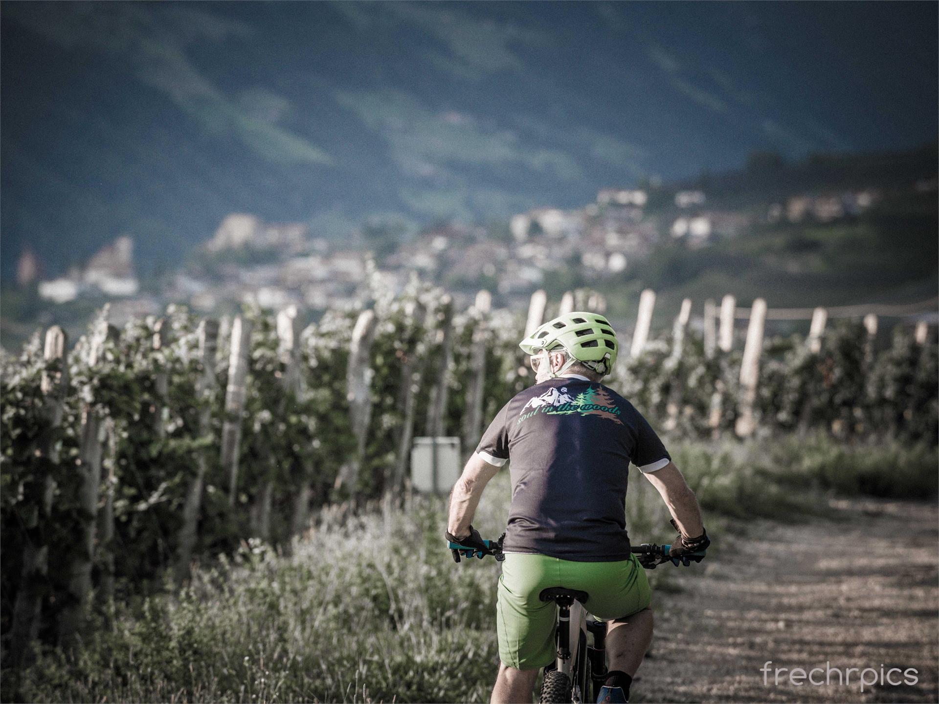 Bike and Hike Algund 14 suedtirol.info