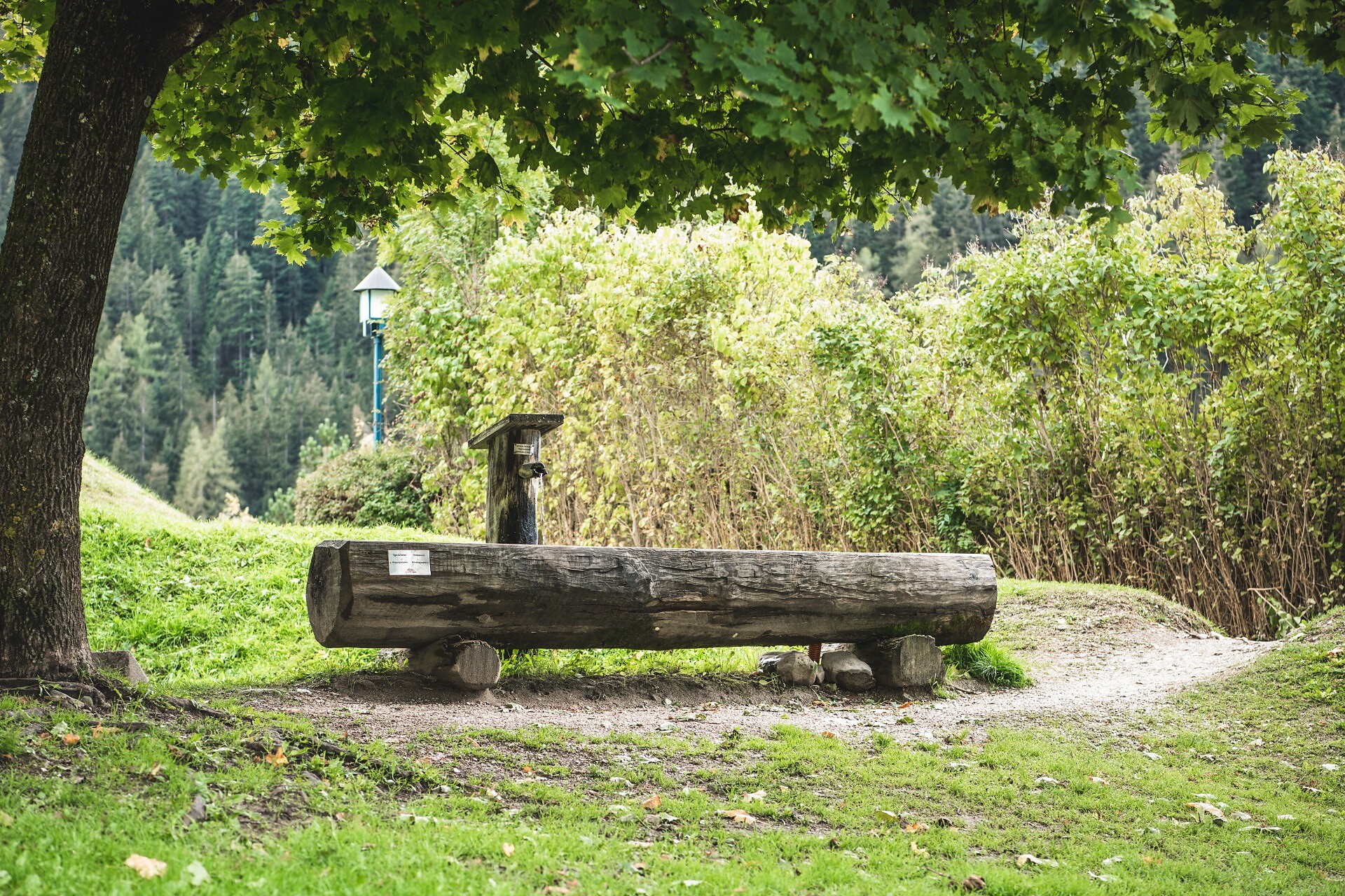 Brunnen Fussel de Nis