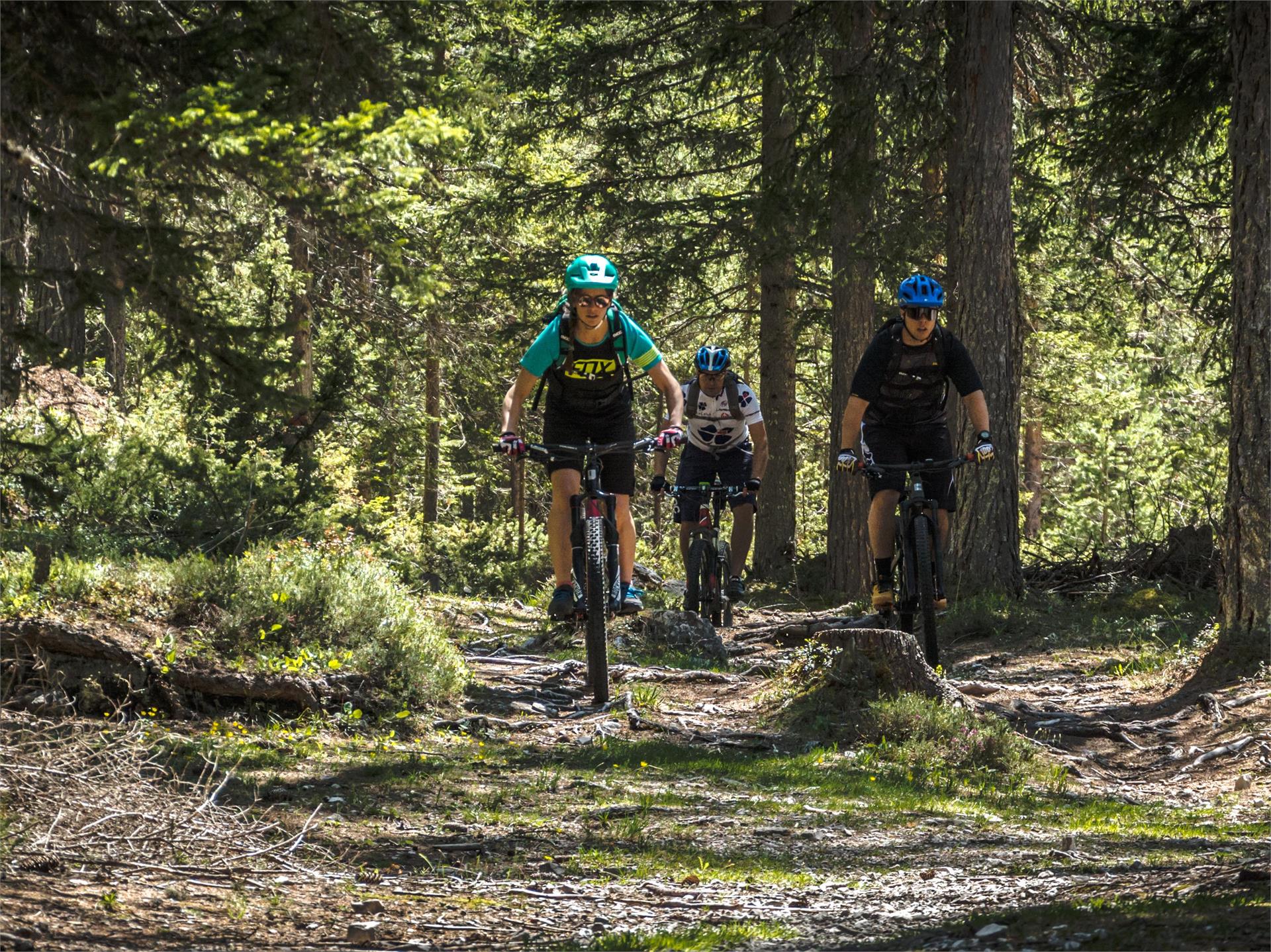 Bikeschool St. Vigil San Vigilio 3 suedtirol.info