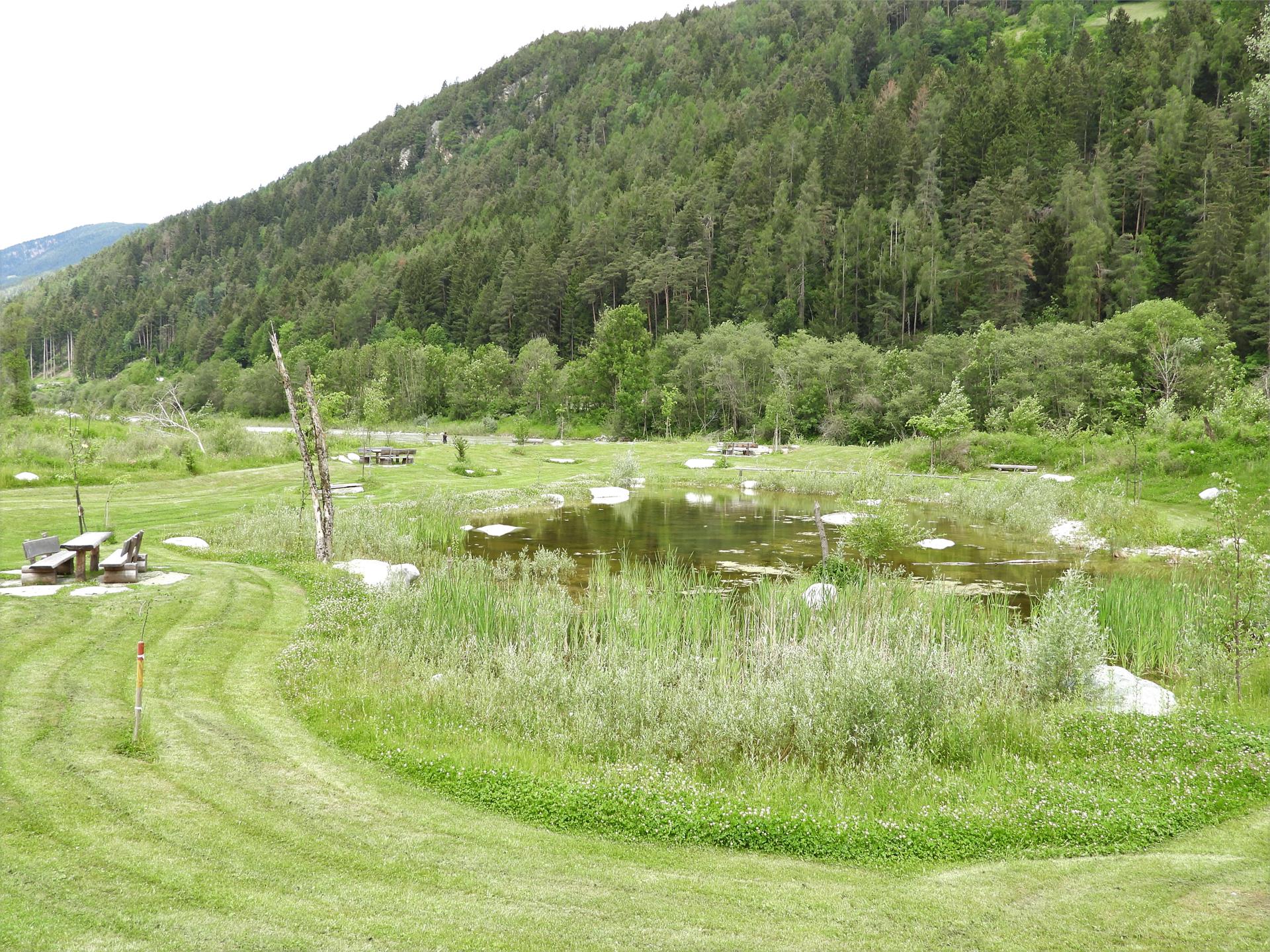 Biotopo Ilistra Chienes 6 suedtirol.info