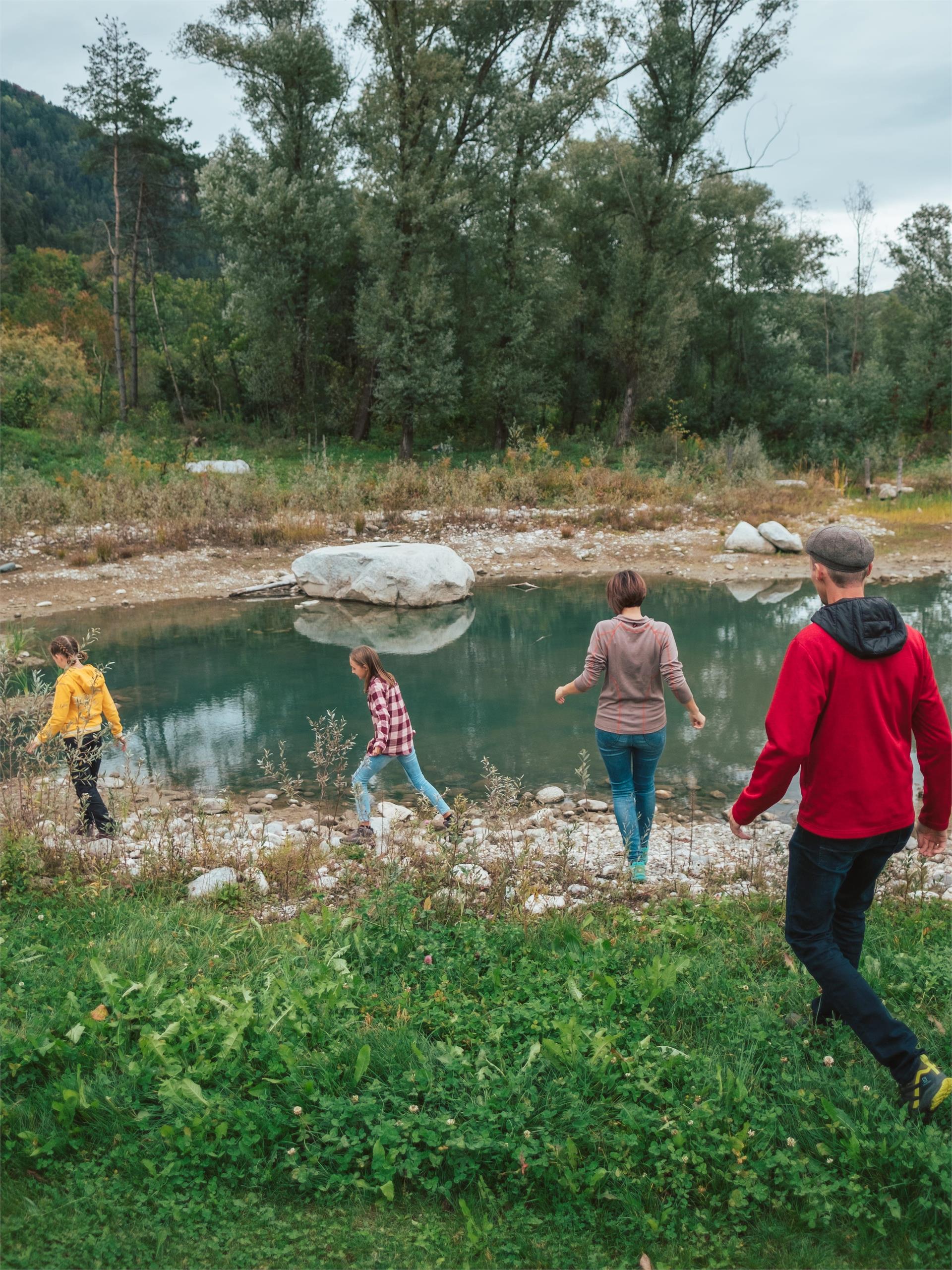 Biotopo Ilistra Chienes 3 suedtirol.info