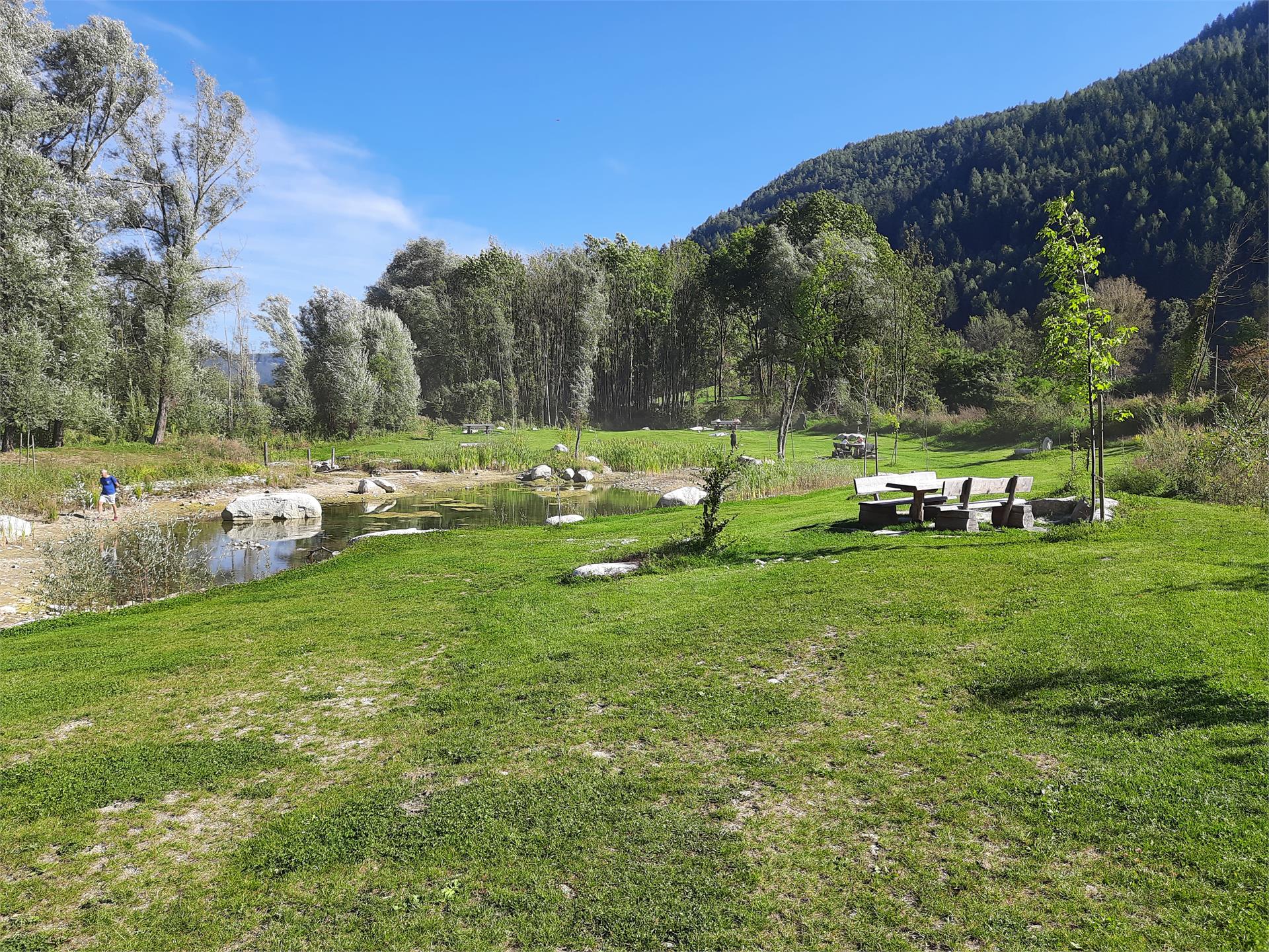 Biotopo Ilistra Chienes 4 suedtirol.info