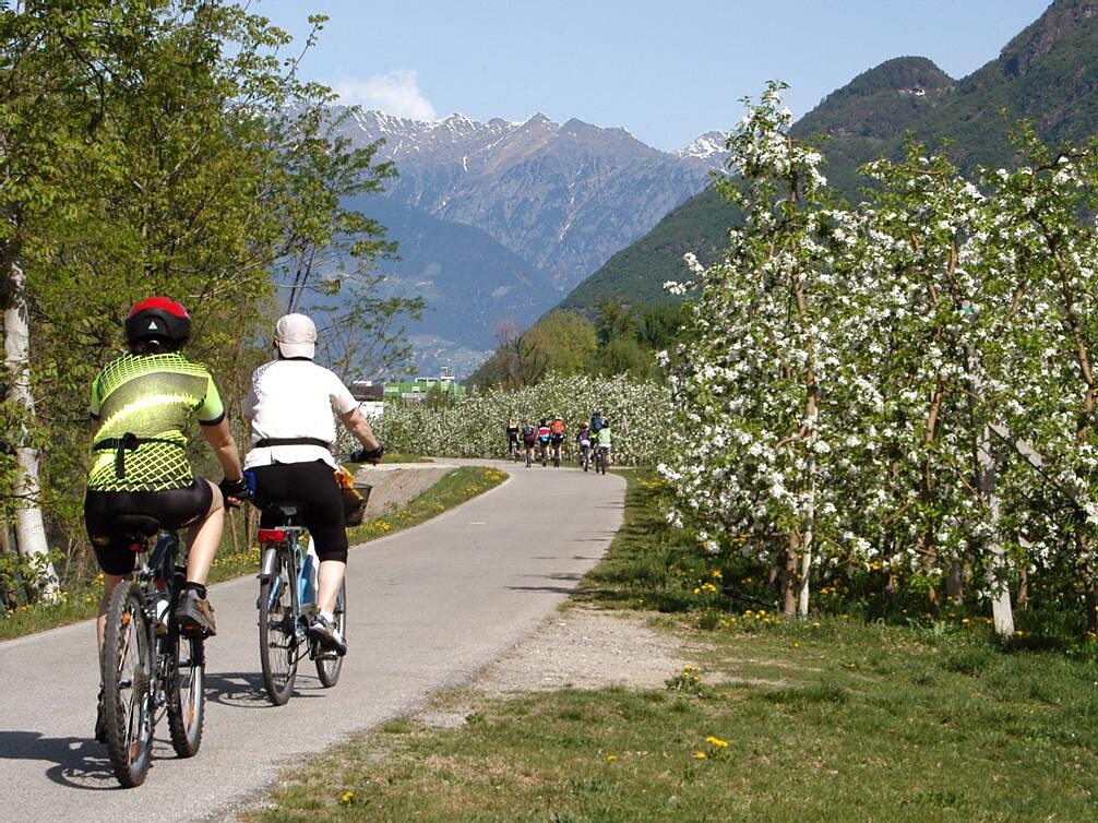 Bike Tours