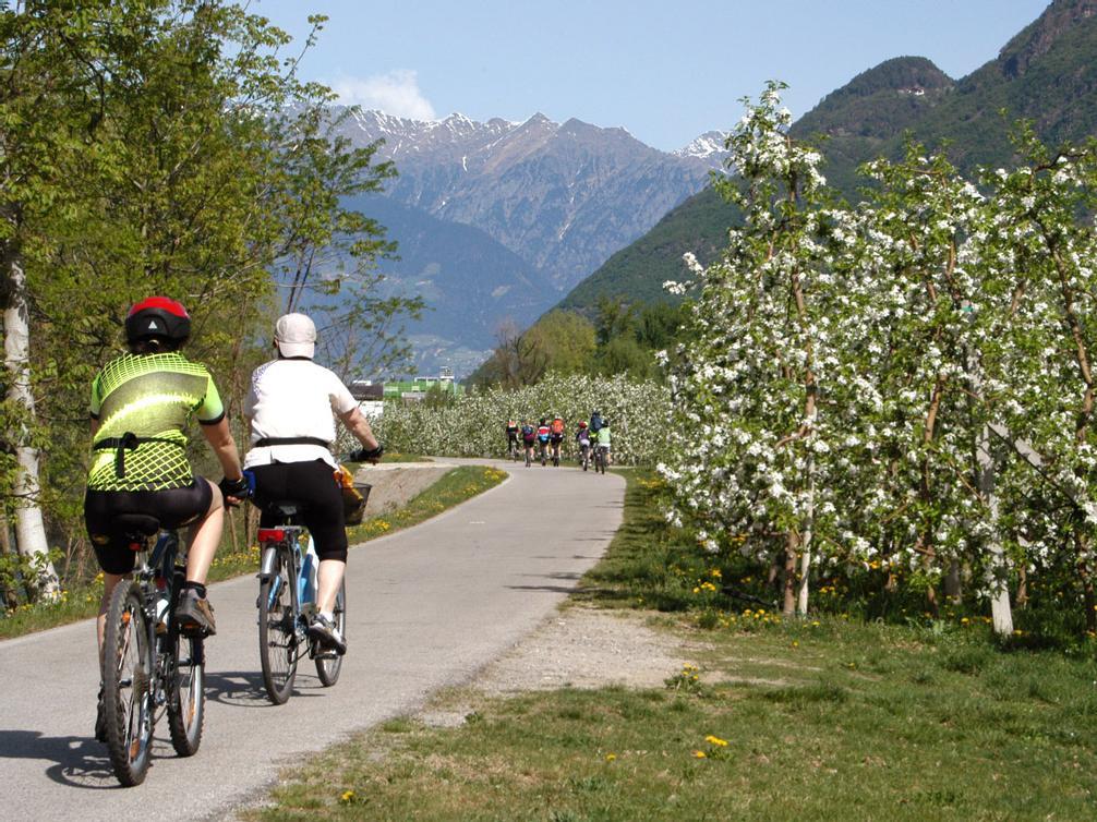 Base Camp Dolomites Bozen 1 suedtirol.info