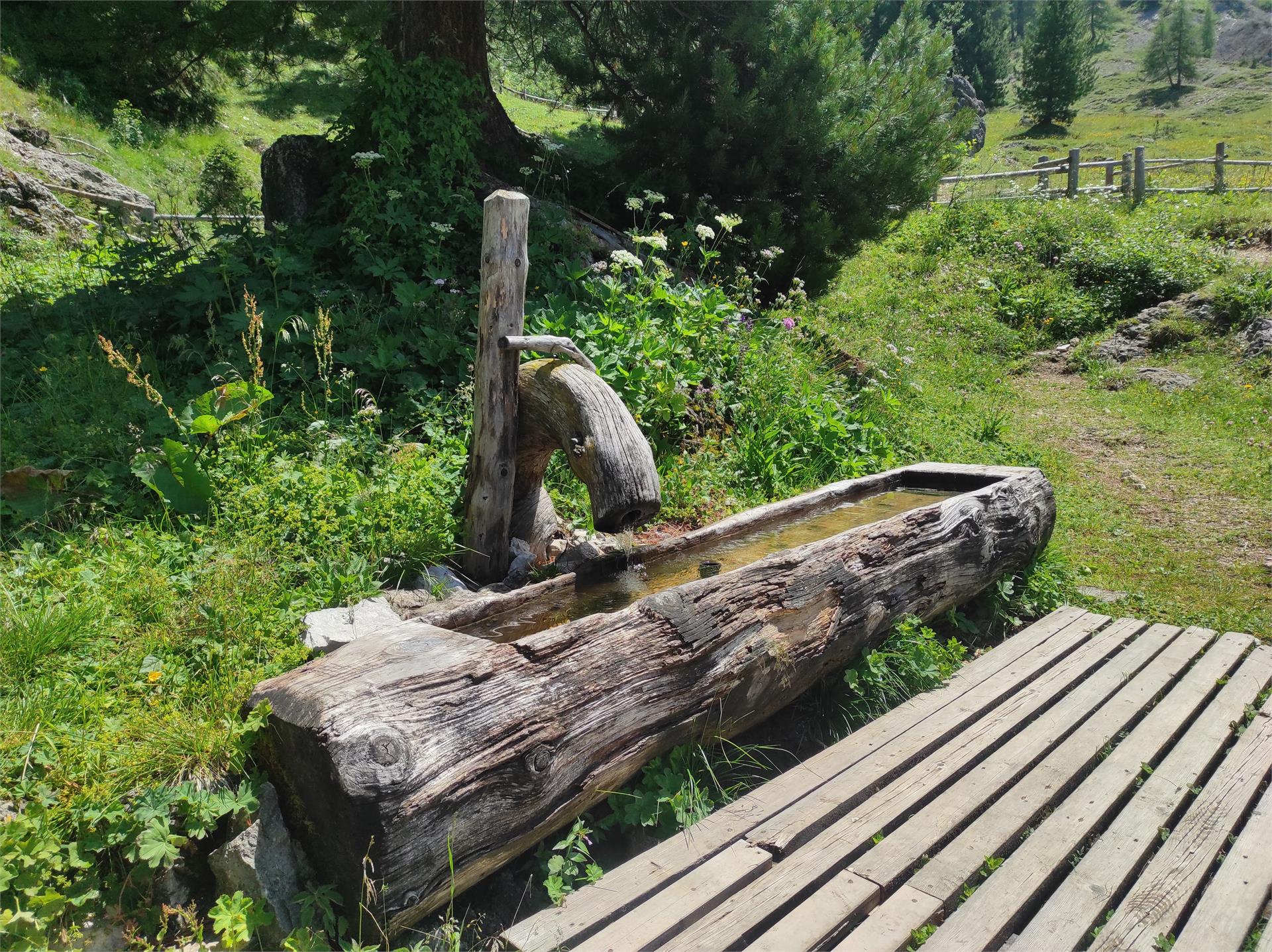 Pozzo Tschantschenon Funes 1 suedtirol.info
