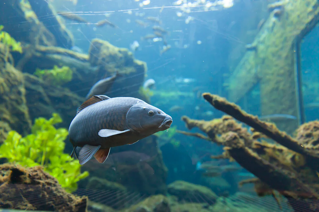 Visitor centre aquaprad