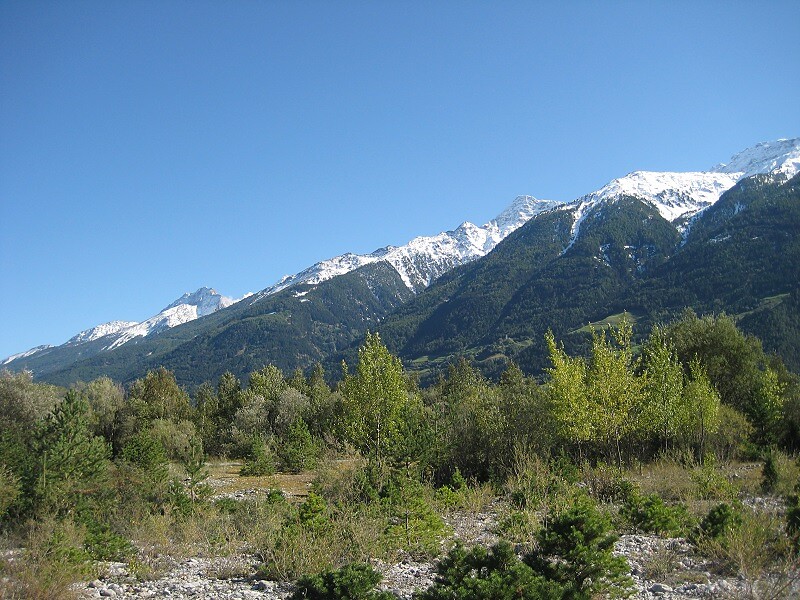 Bamlföst