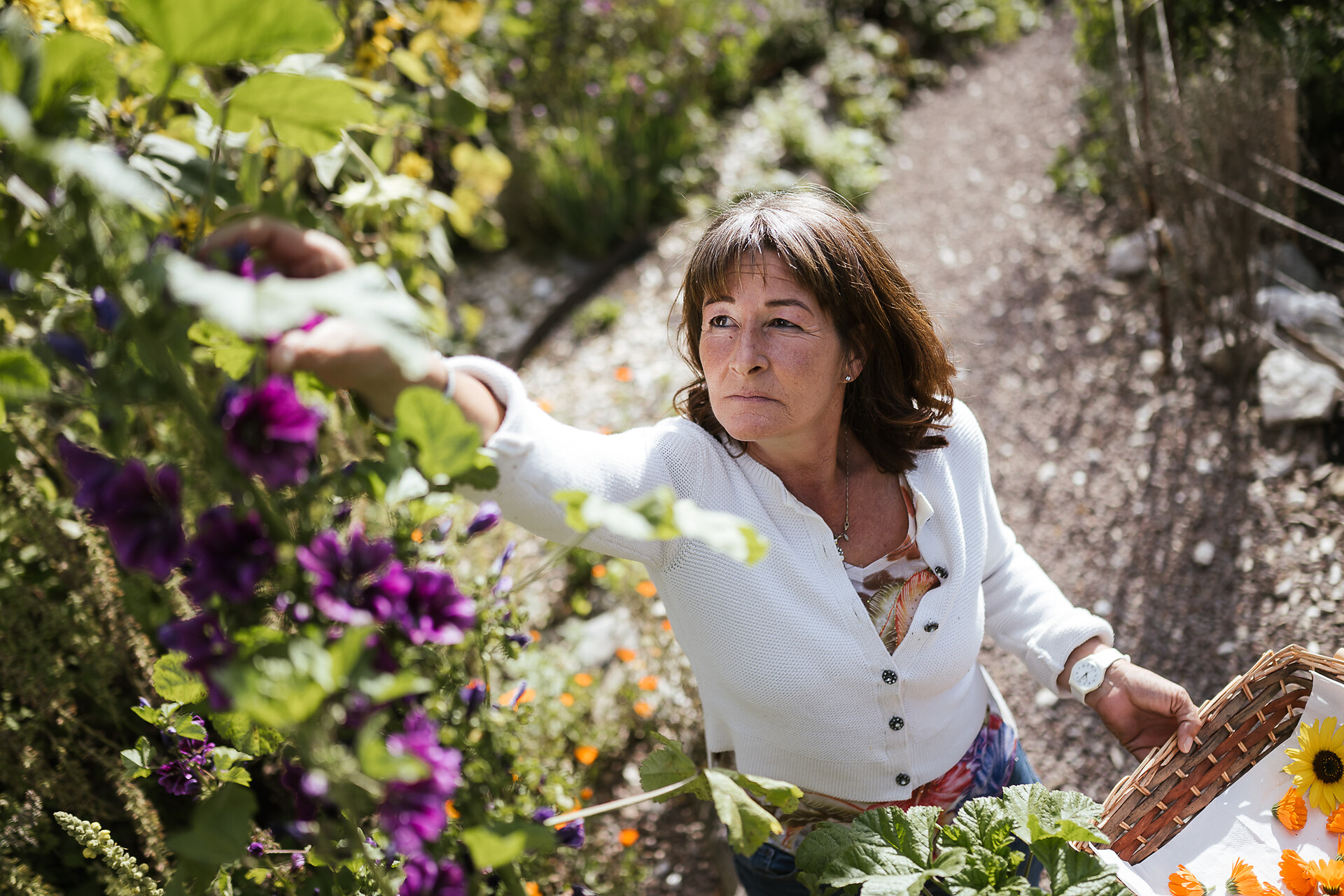 Alpine Herb Garden