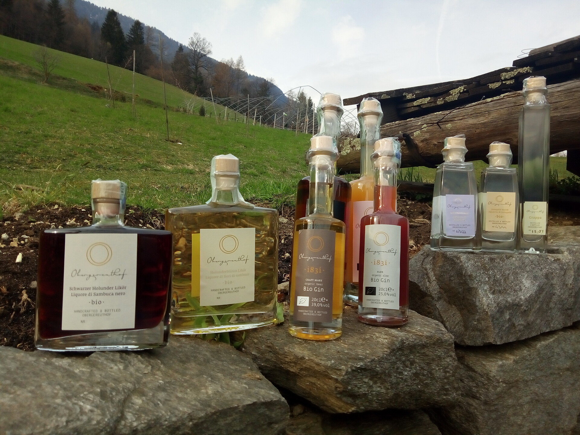 Obergereuth Distillery