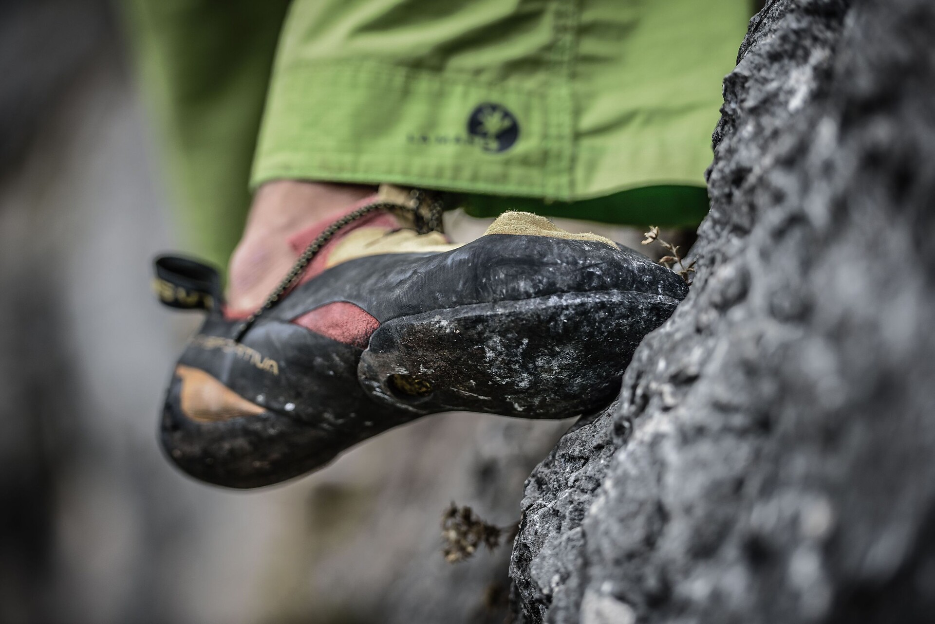 Alpine guide