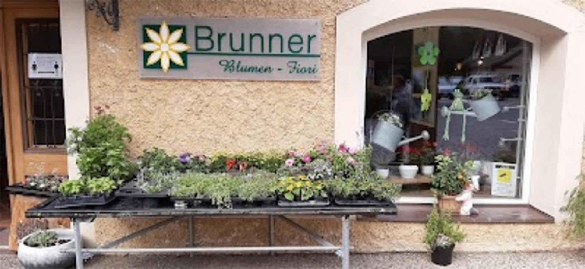Fiori Brunner Dobbiaco 1 suedtirol.info