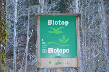 Biotop Ragglmoos Chienes 2 suedtirol.info