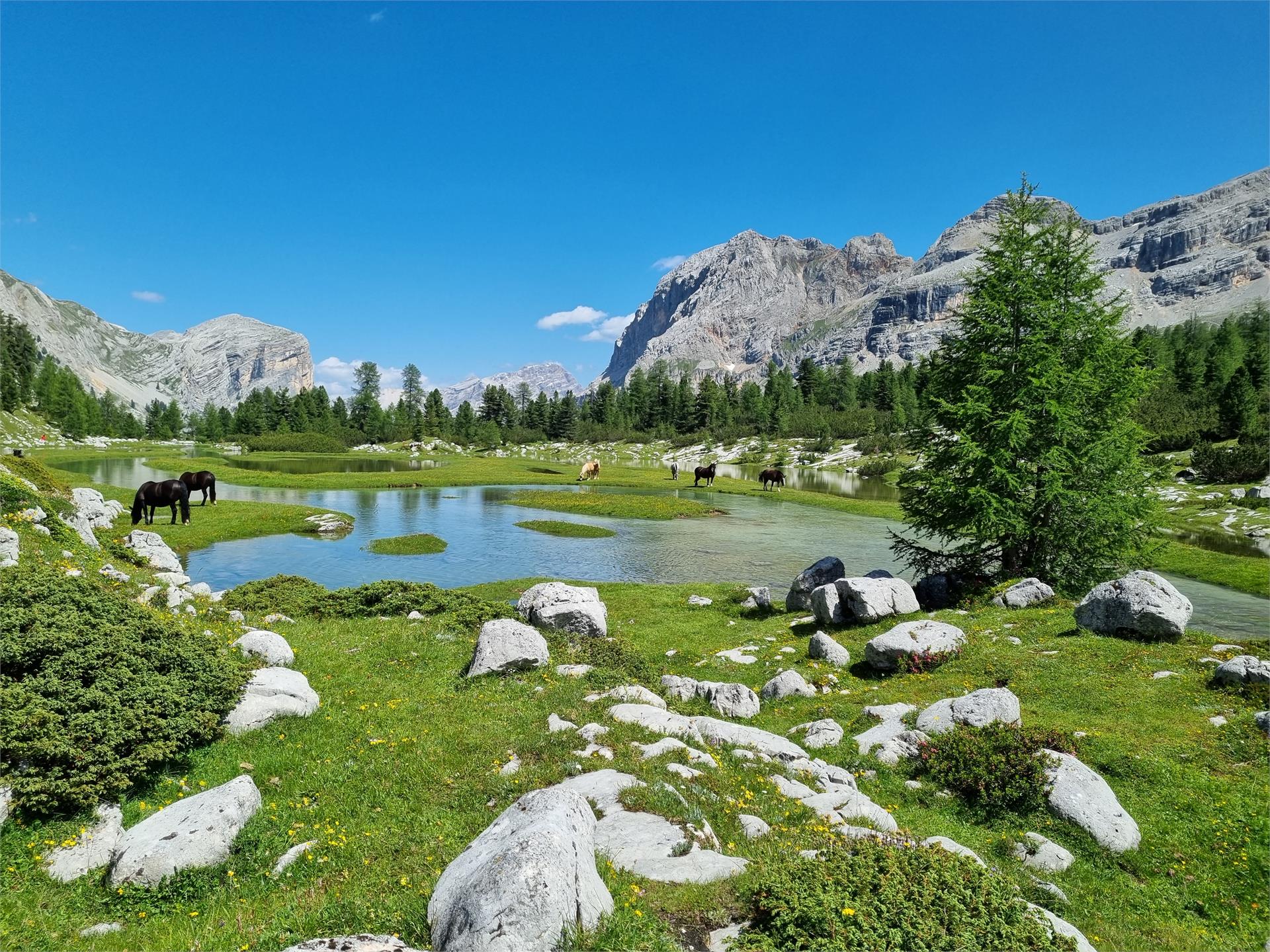 Bike & Hike Corvara 4 suedtirol.info