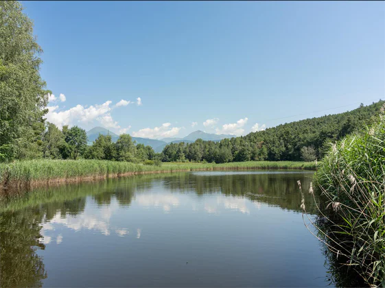 Biotope Raier Moos in Raas