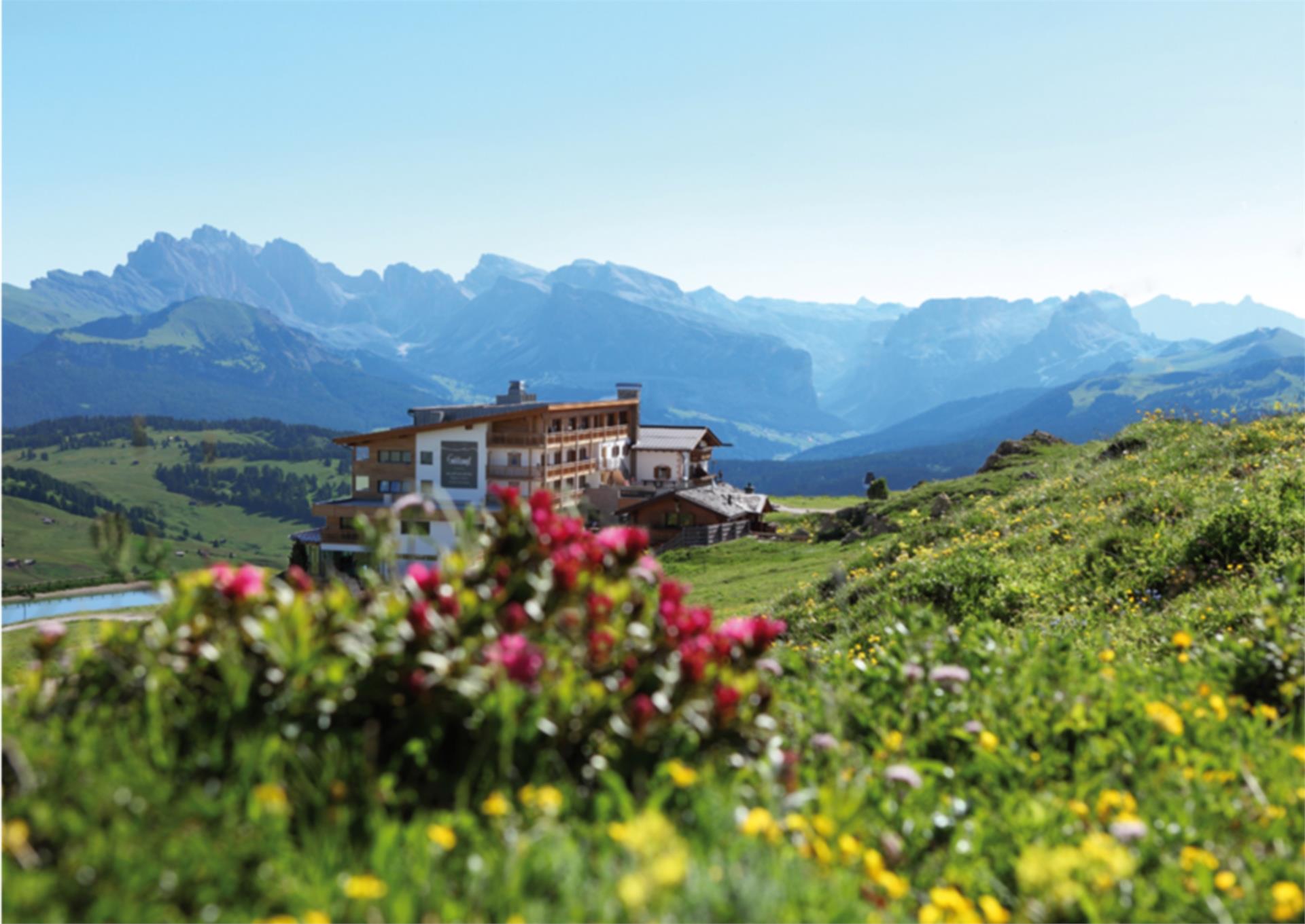 Brunnen Hotel Goldknopf Kastelruth 1 suedtirol.info