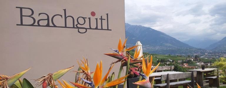 Bachgütl - Meran/Merano and environs - #1 - suedtirol.info