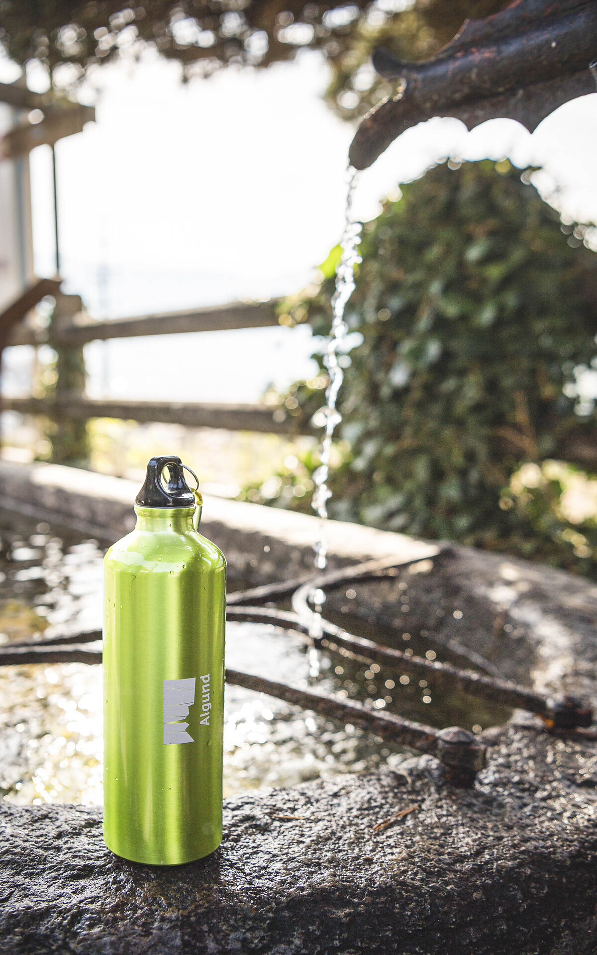 Fountain Wiedmair Algund/Lagundo 2 suedtirol.info