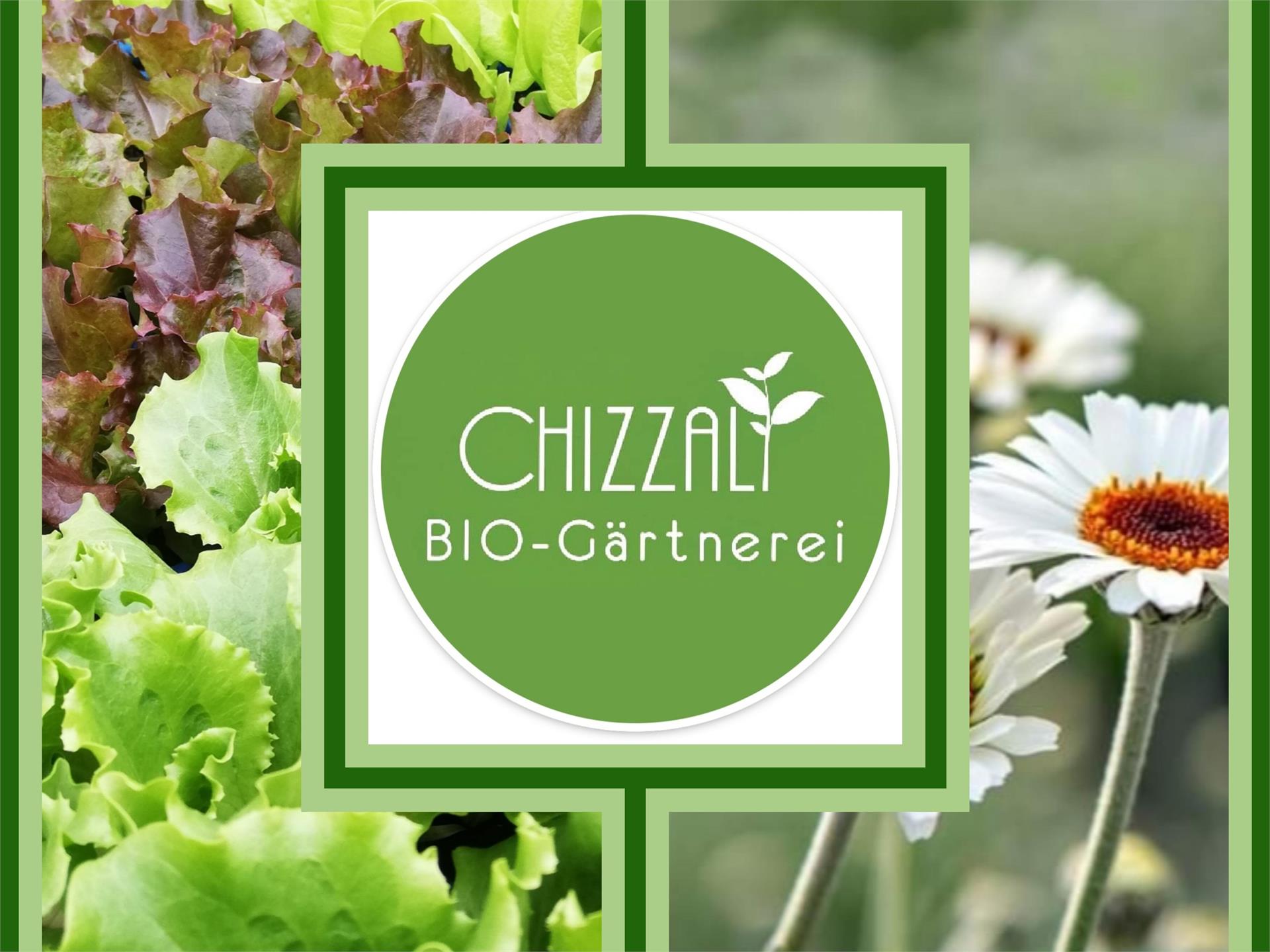 BIO-Gärtnerei Chizzali Kaltern an der Weinstraße/Caldaro sulla Strada del Vino 1 suedtirol.info