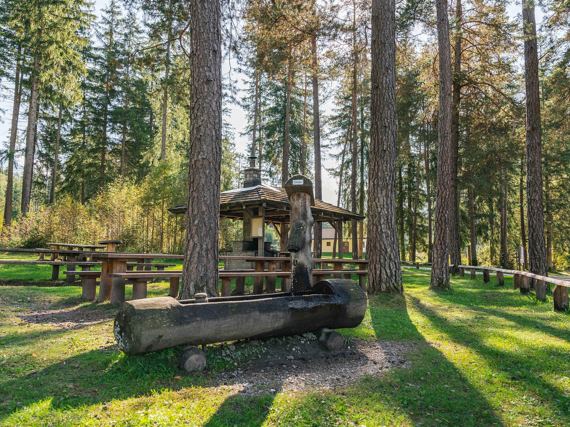 Fountain at the barbecue area in Antholz Niedertal - Dolomites Region Kronplatz/Plan de Corones - #1 - suedtirol.info