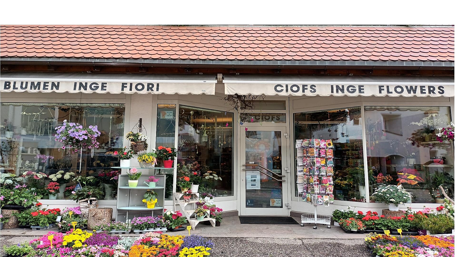 Blumen Inge St.Ulrich 1 suedtirol.info