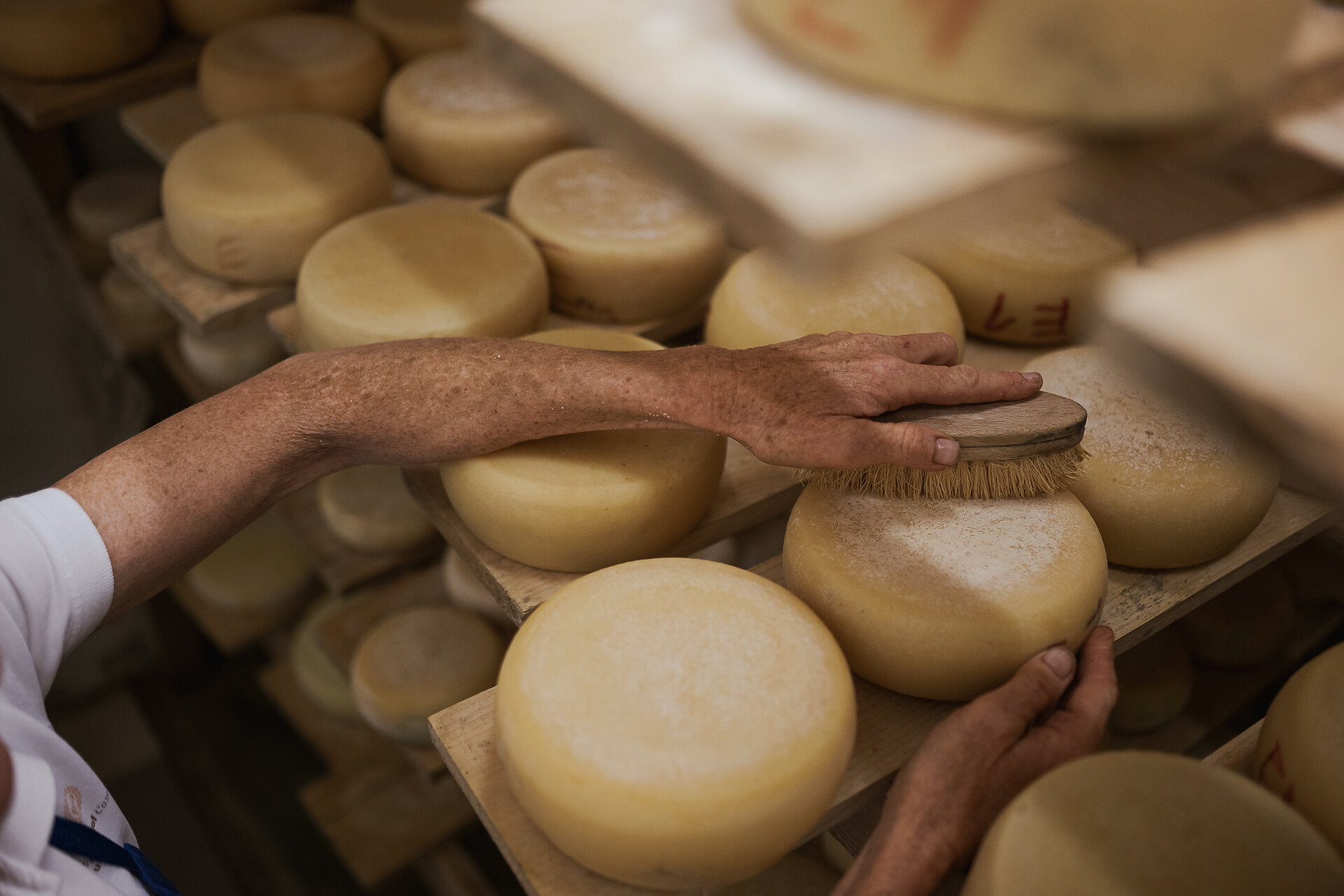 Caseificio-Bio Petrunderhof - Regione dolomitica Val di Funes - #1 - suedtirol.info