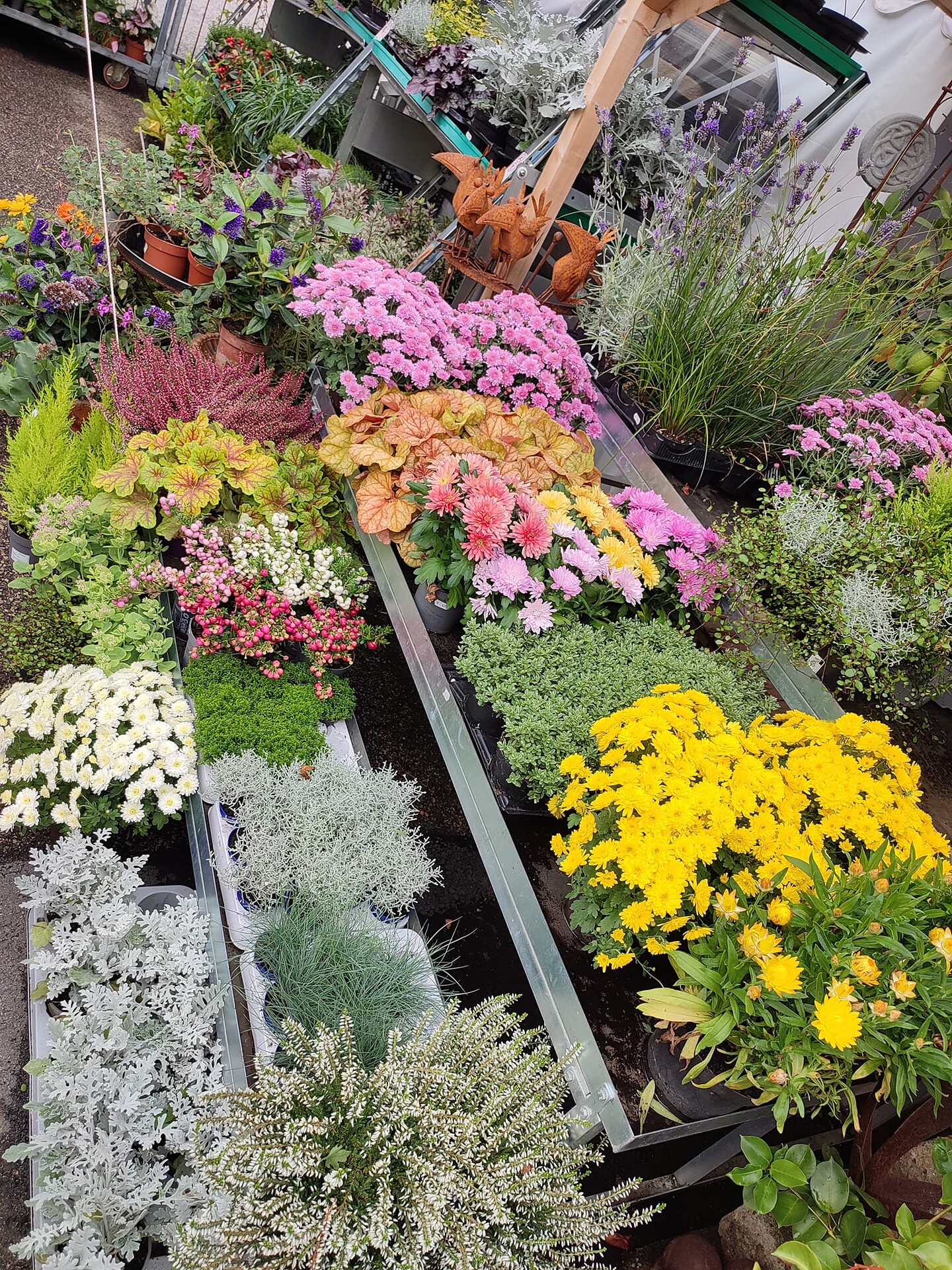 Birgit's Naturliab: Dekoration, Geschenksideen, Blumen, Pflanzen Klausen 3 suedtirol.info