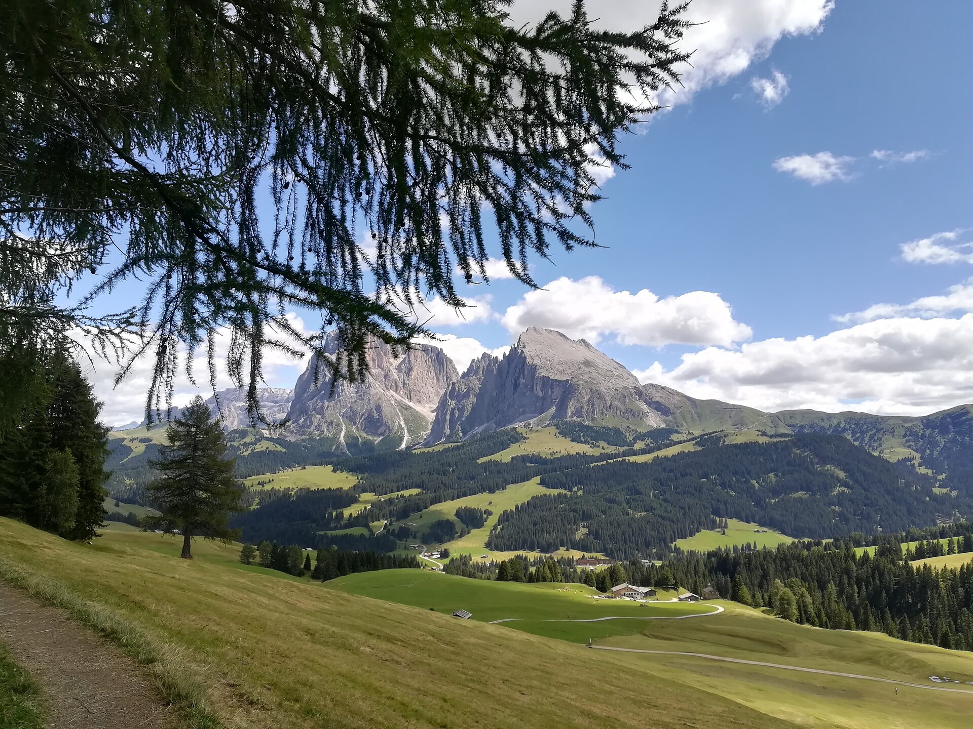 Accompagnatore escursionistico botanico Castelrotto 1 suedtirol.info