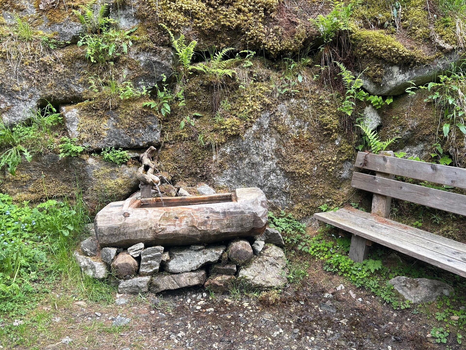 Brunnen am Wanderweg Nr. 5 zur Hochrautalm in Oberrasen - Dolomitenregion Kronplatz - #2 - suedtirol.info