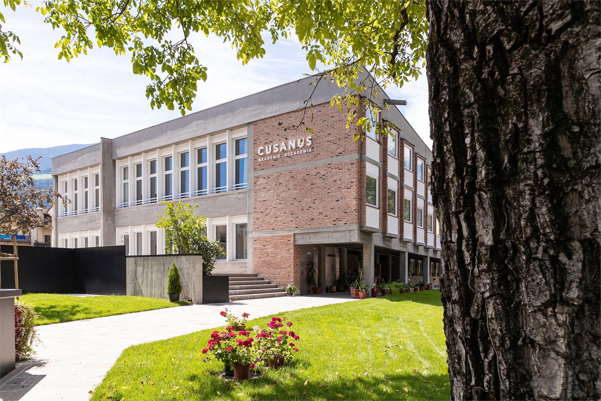 Accademia Cusanus Bressanone 1 suedtirol.info