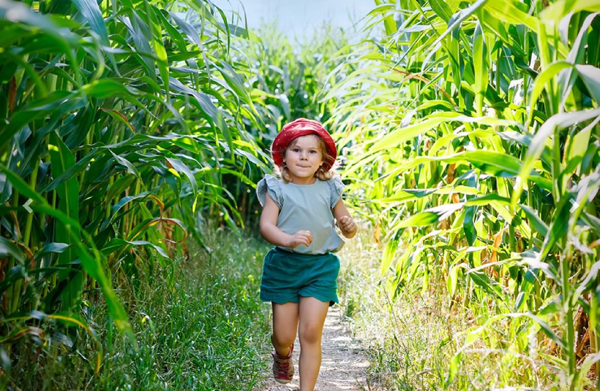 Corn Action Adventure Labyrinth Pfalzen 1 suedtirol.info