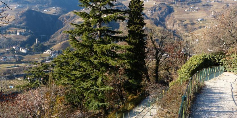 The Oswald Promenade: Mediterranean flair on the edge of the city Bolzano/Bozen 1 suedtirol.info
