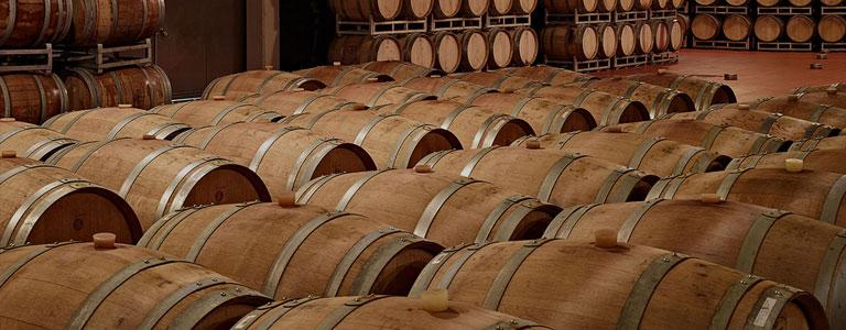 Dürer Weg - Strada del Vino - #1 - suedtirol.info