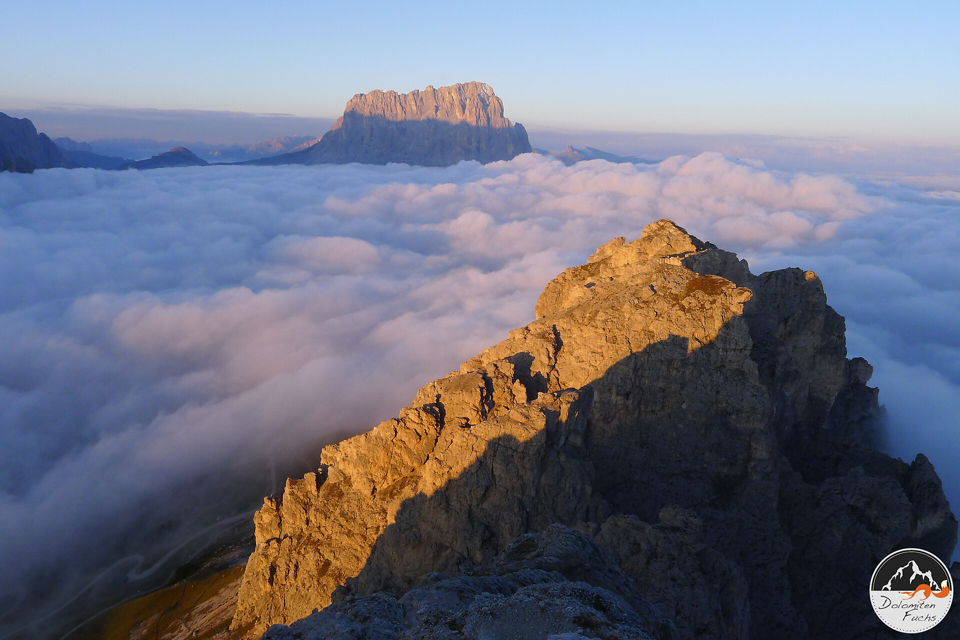 Dolomitenfuchs