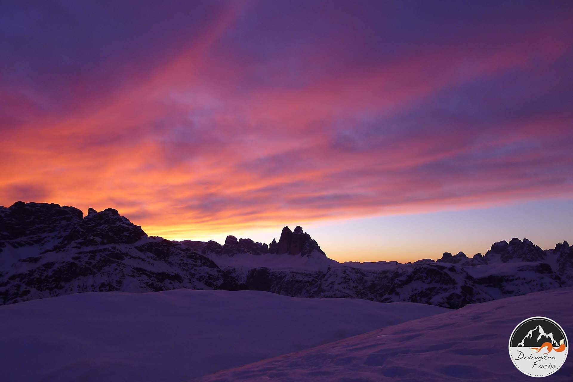 Dolomitenfuchs