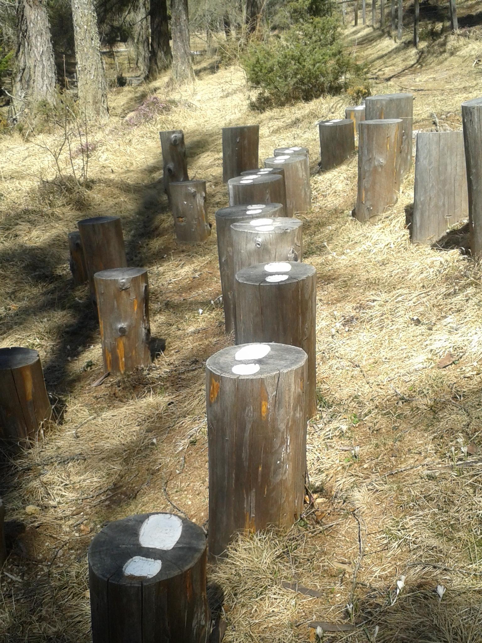 Der Atemweg Altrei 5 suedtirol.info