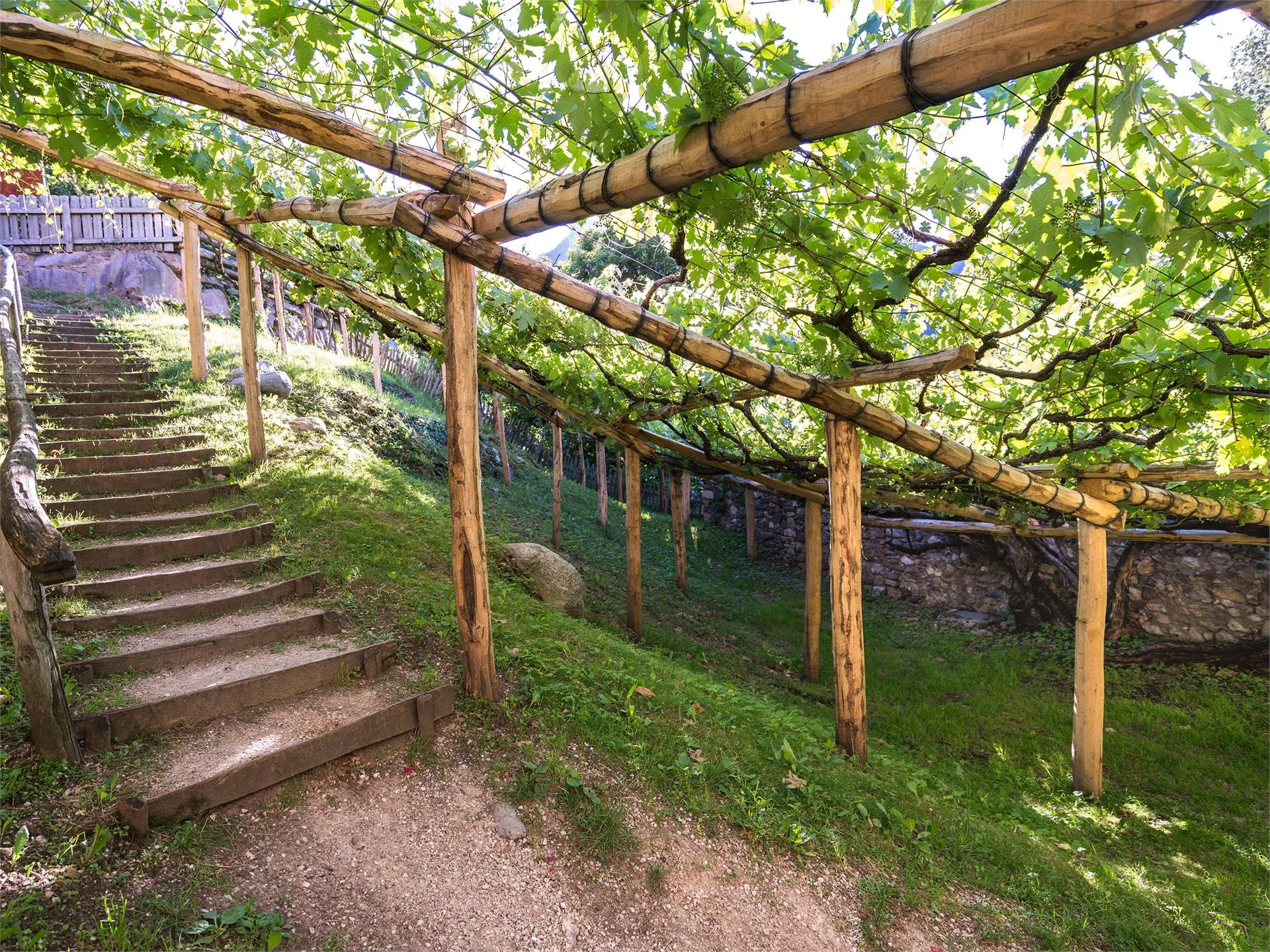 Versoaln Vine in Prissiano Tisens/Tesimo 2 suedtirol.info