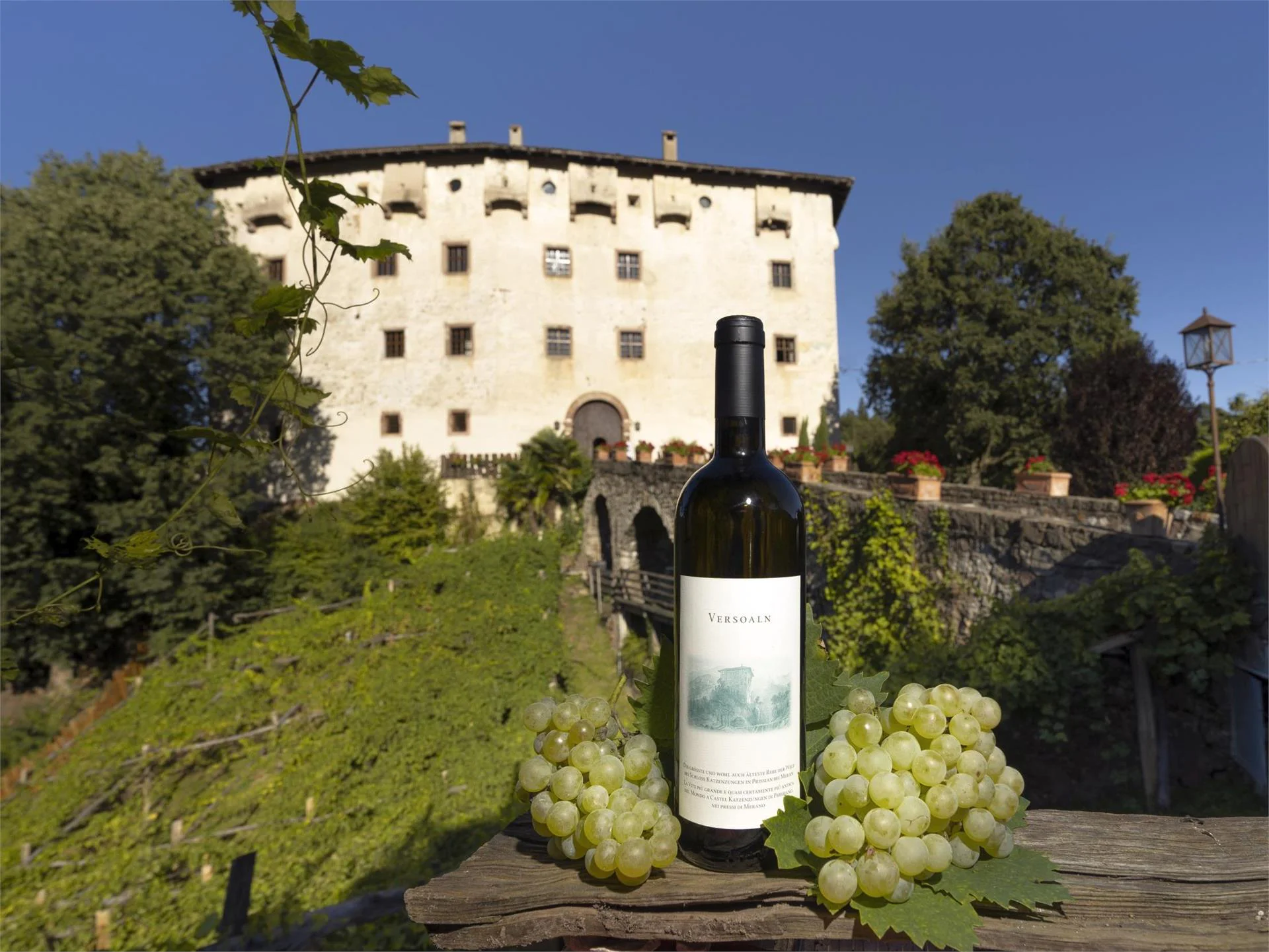 Versoaln Vine in Prissiano Tisens/Tesimo 6 suedtirol.info