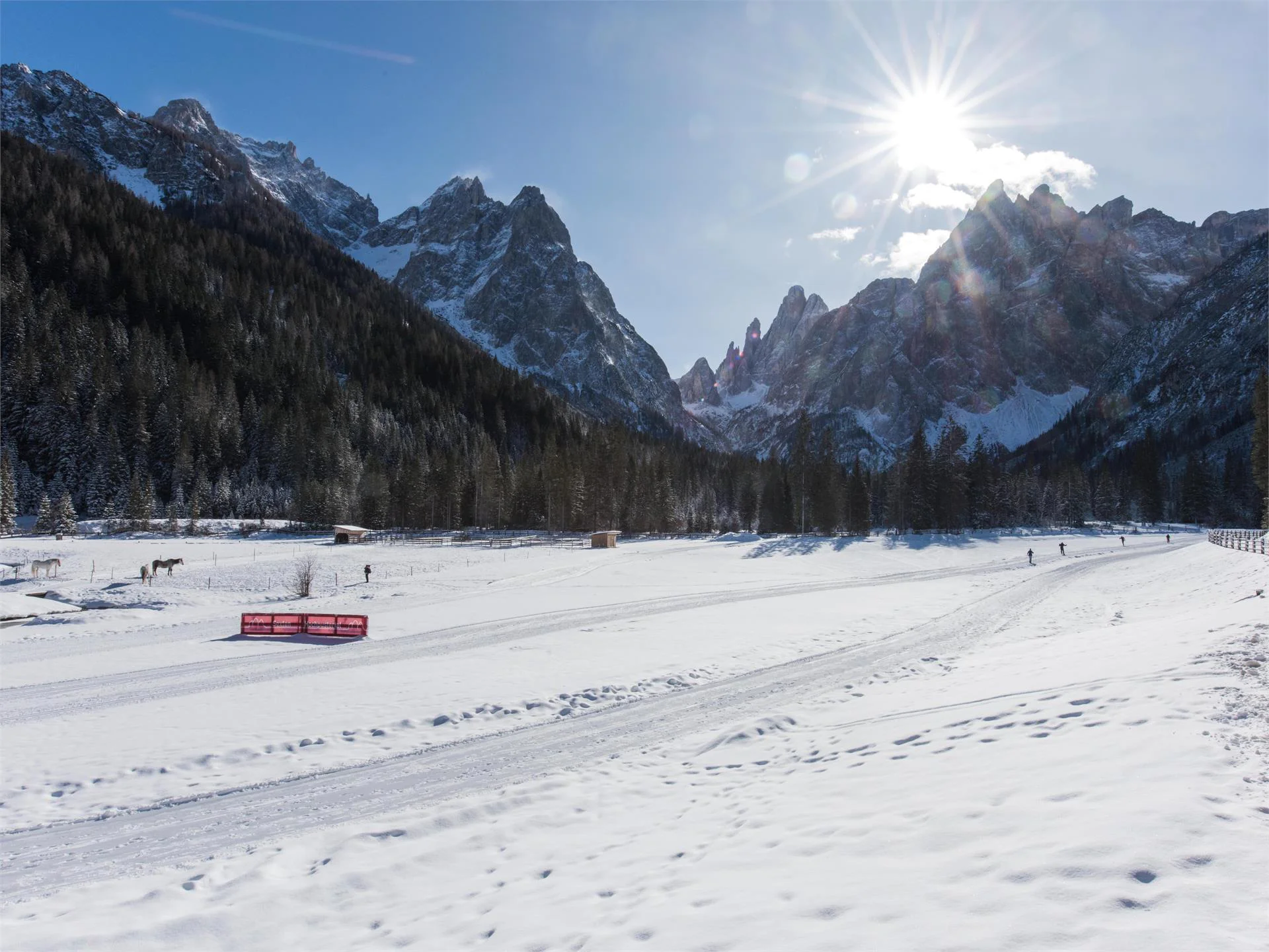 La Val Fiscalina Sesto 2 suedtirol.info