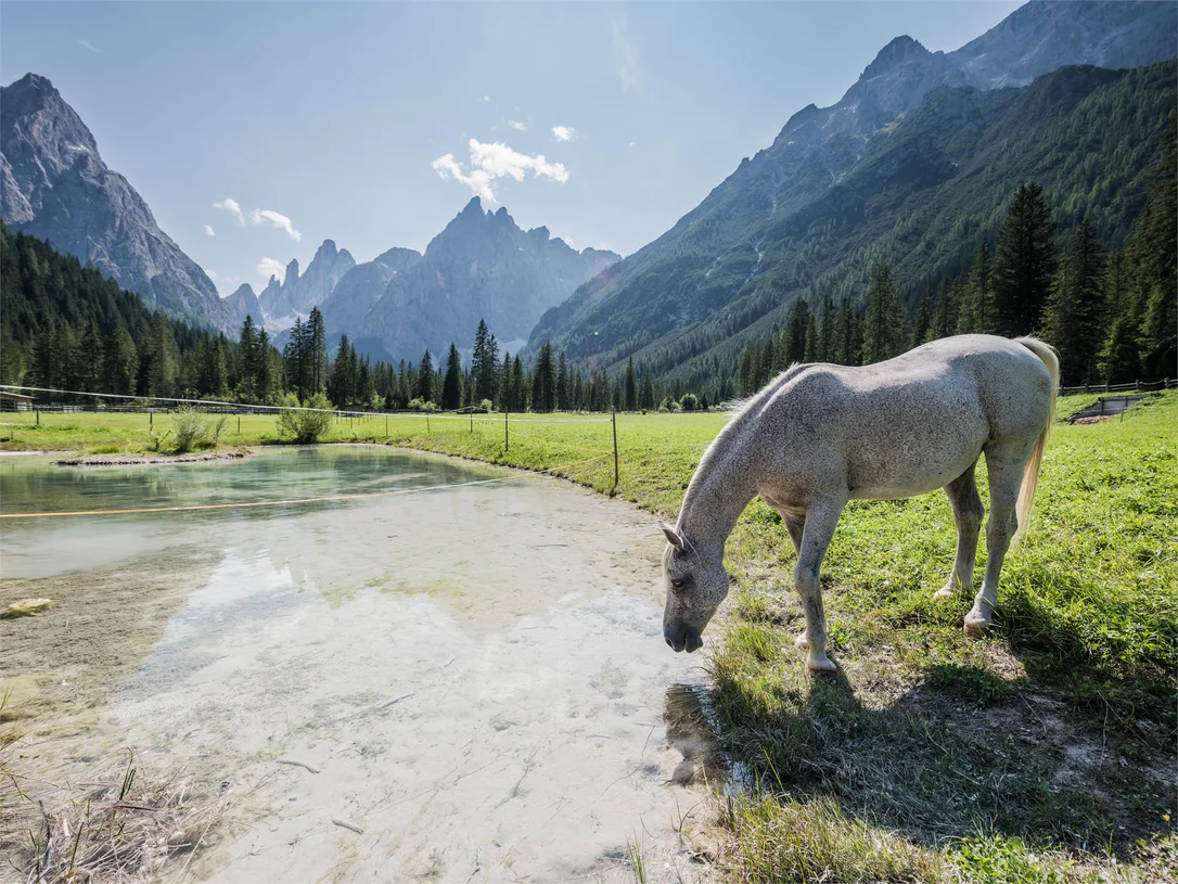 The Fischleintal/ Val Fiscalina