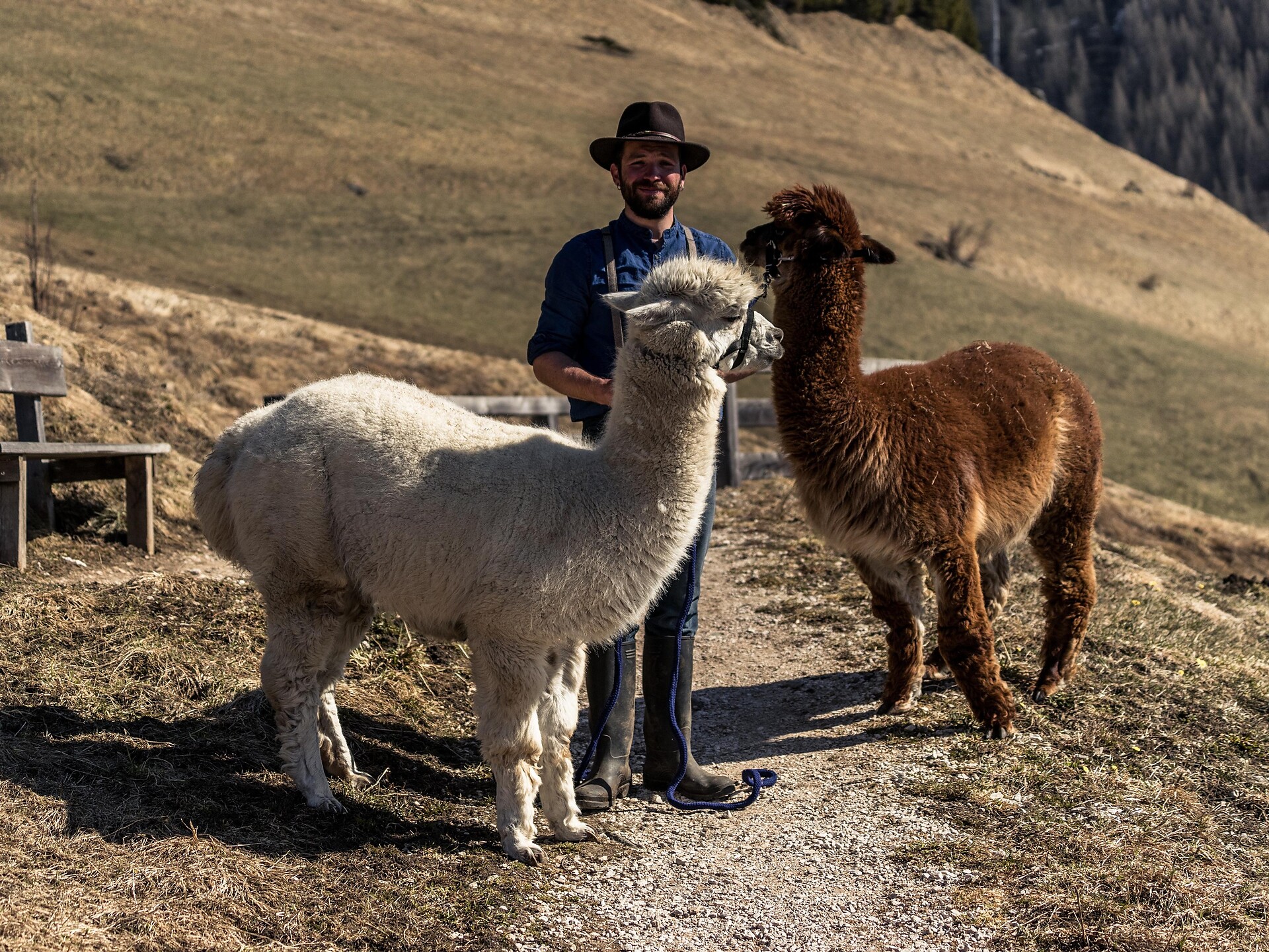 Dolomites Farm