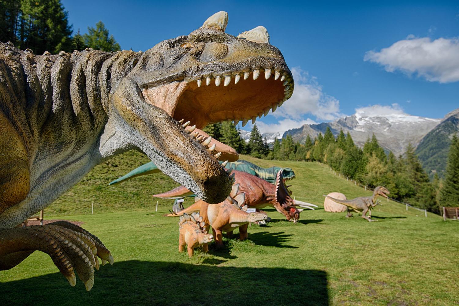 Dinoland Ahrntal 1 suedtirol.info