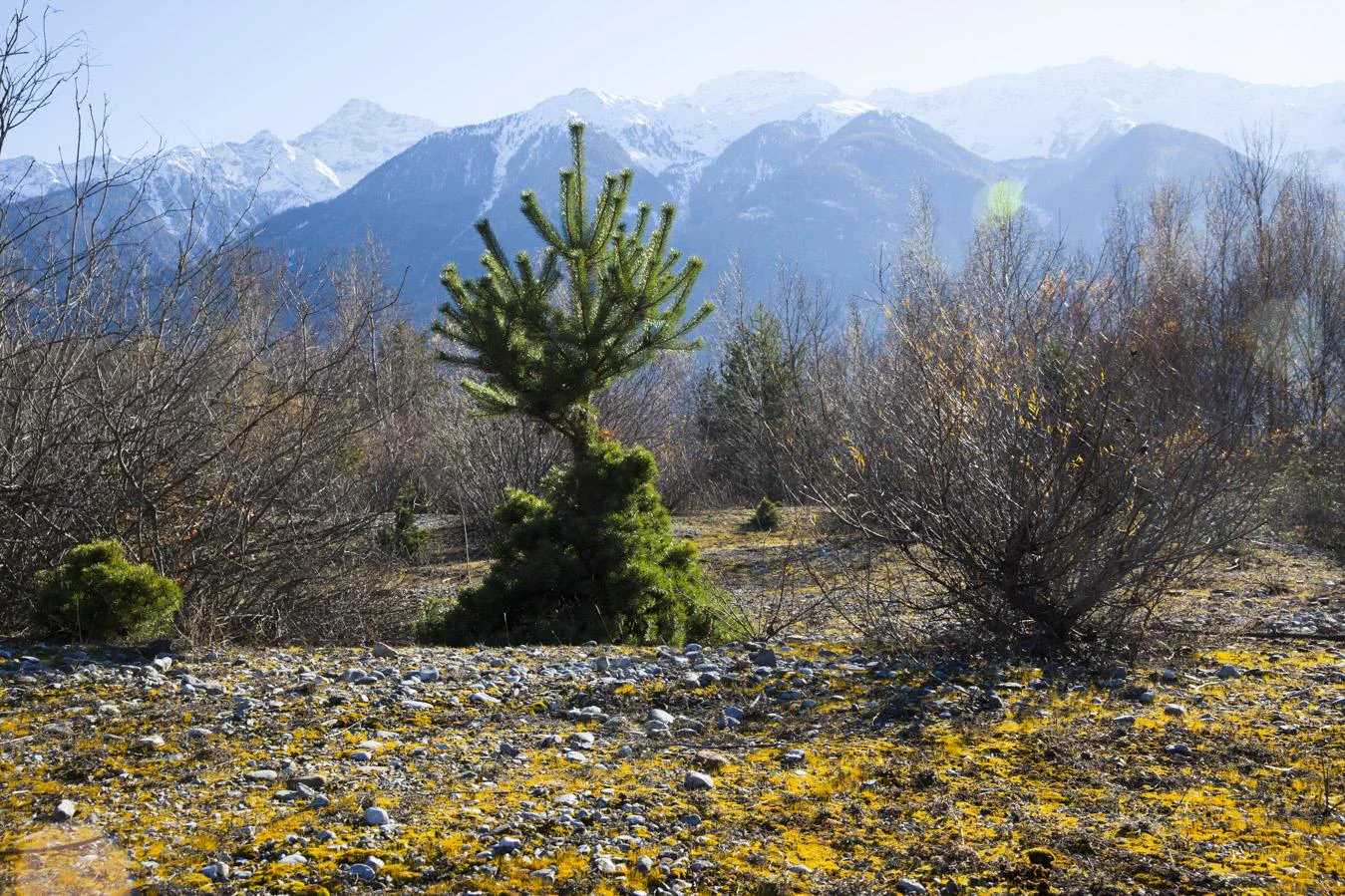 Die Prader Sand Prad am Stilfser Joch 4 suedtirol.info