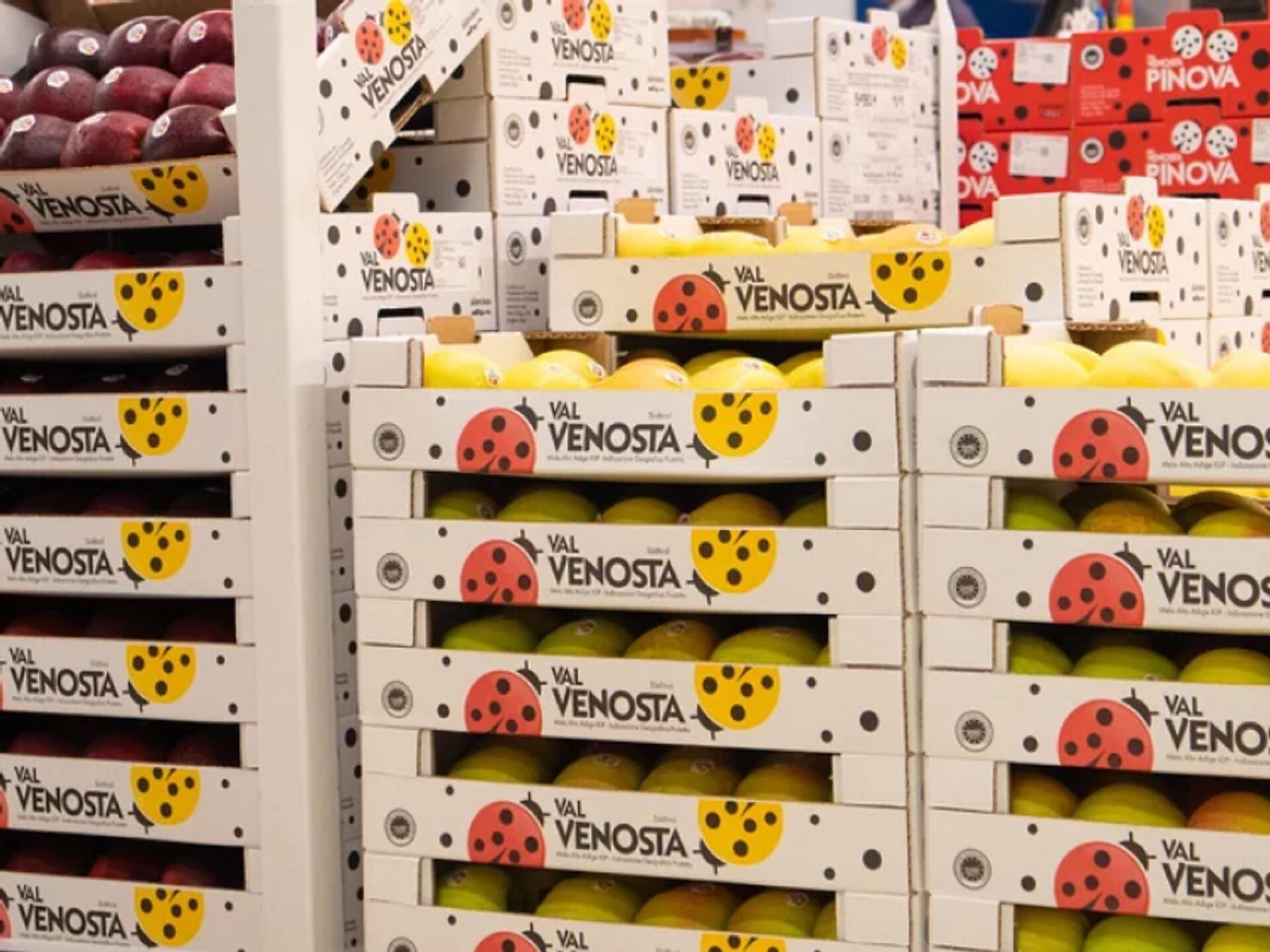Cooperativa di frutta TEXEL - Merano e dintorni - #2 - suedtirol.info