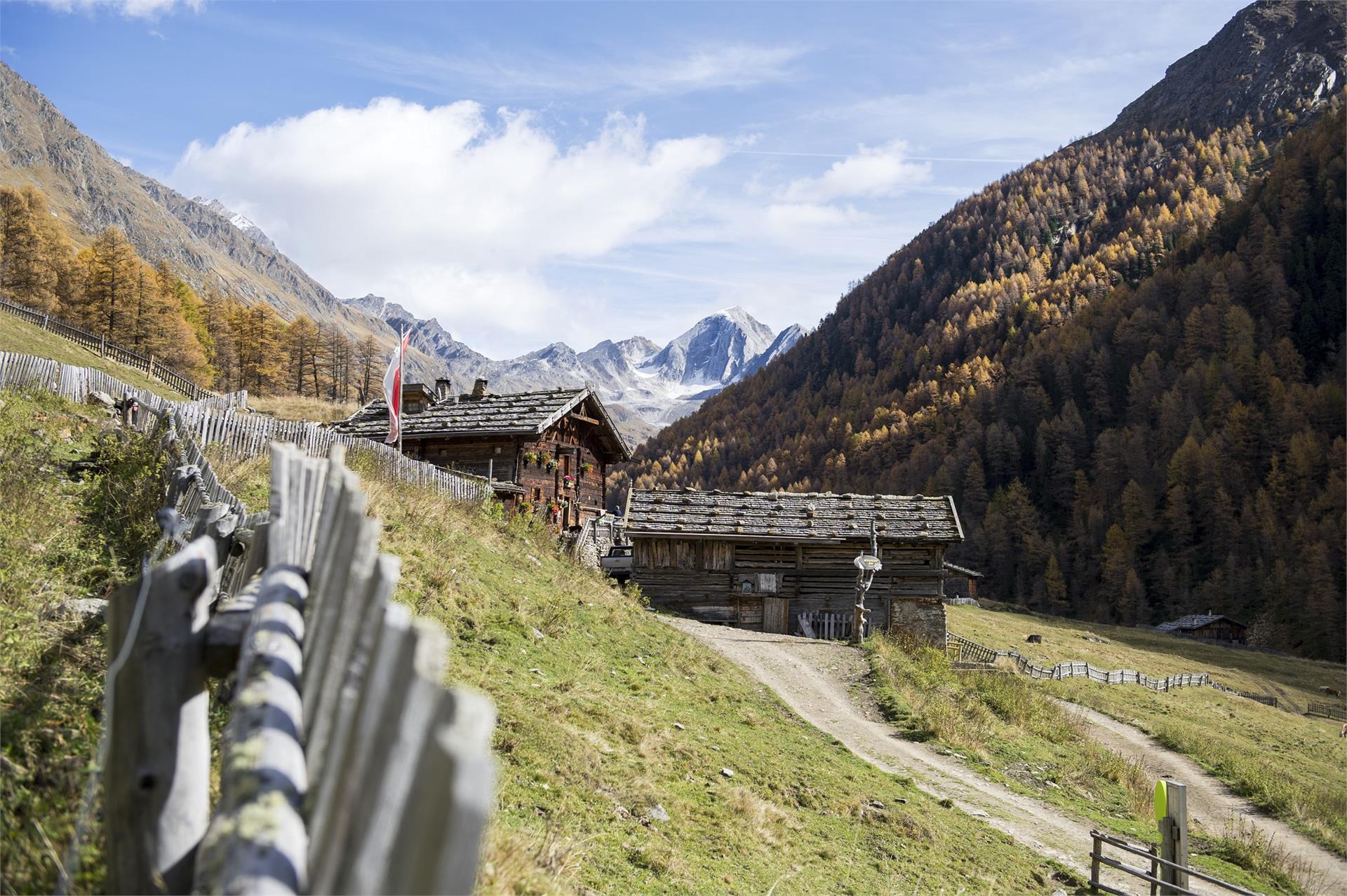 Il parco naturale Gruppo di Tessa in Val Senales Senales 1 suedtirol.info