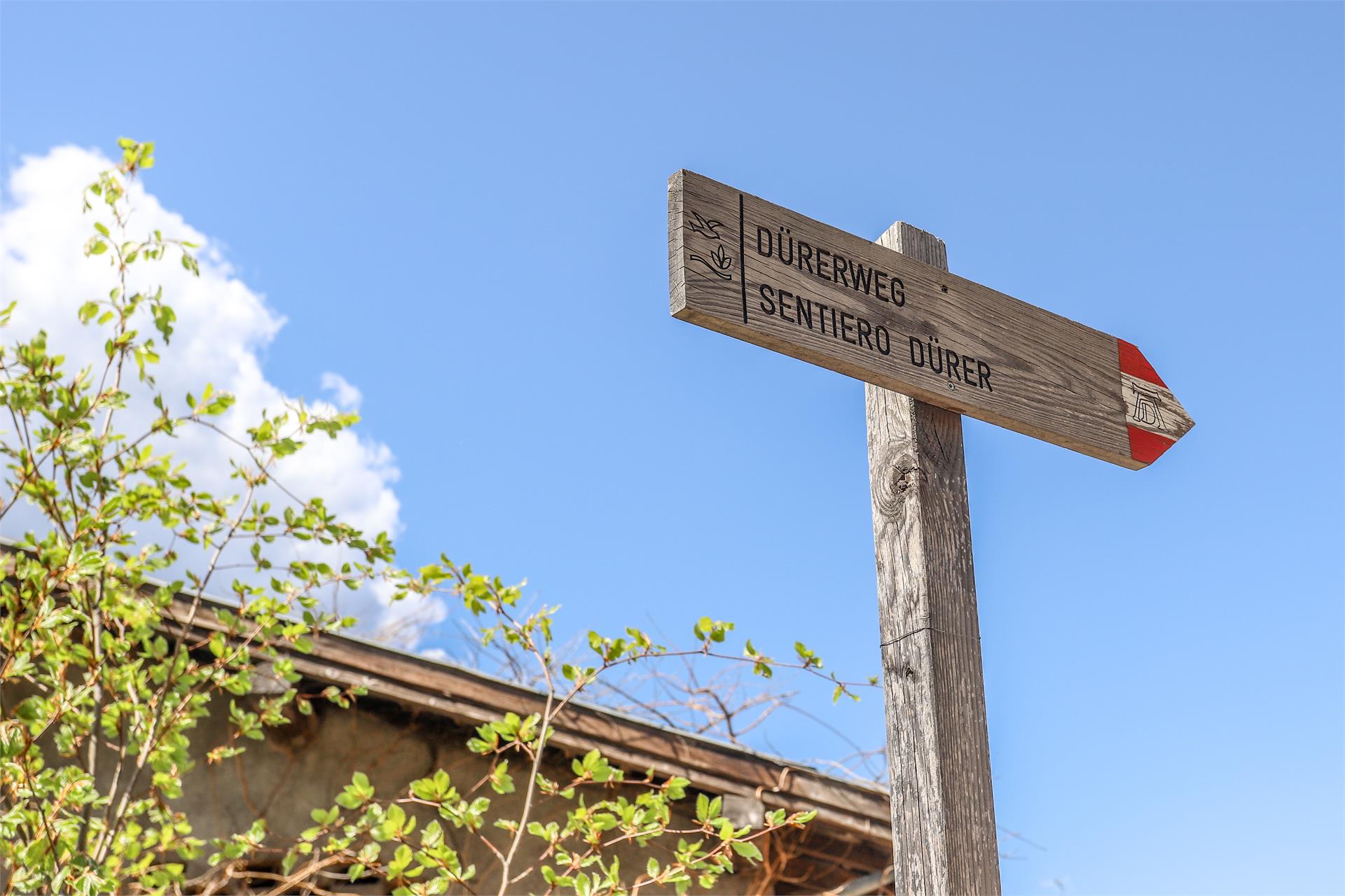 Sentiero Durer Egna 2 suedtirol.info