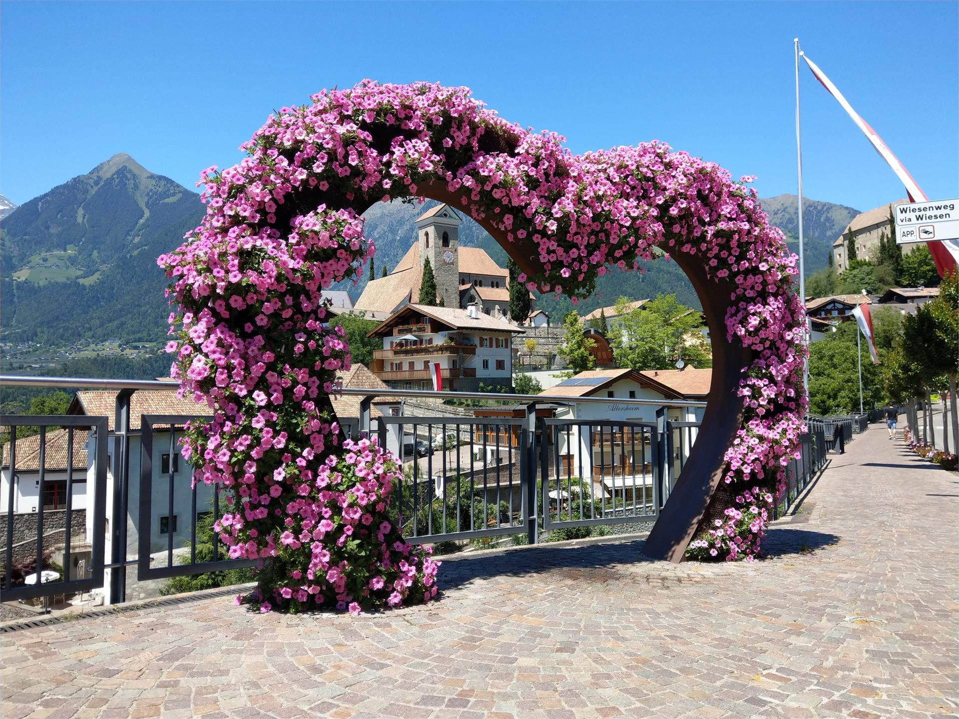 The flower heart in Schenna Schenna/Scena 2 suedtirol.info