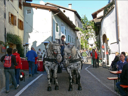 Trip with horse-drawn carriage Tramin an der Weinstraße/Termeno sulla Strada del Vino 1 suedtirol.info