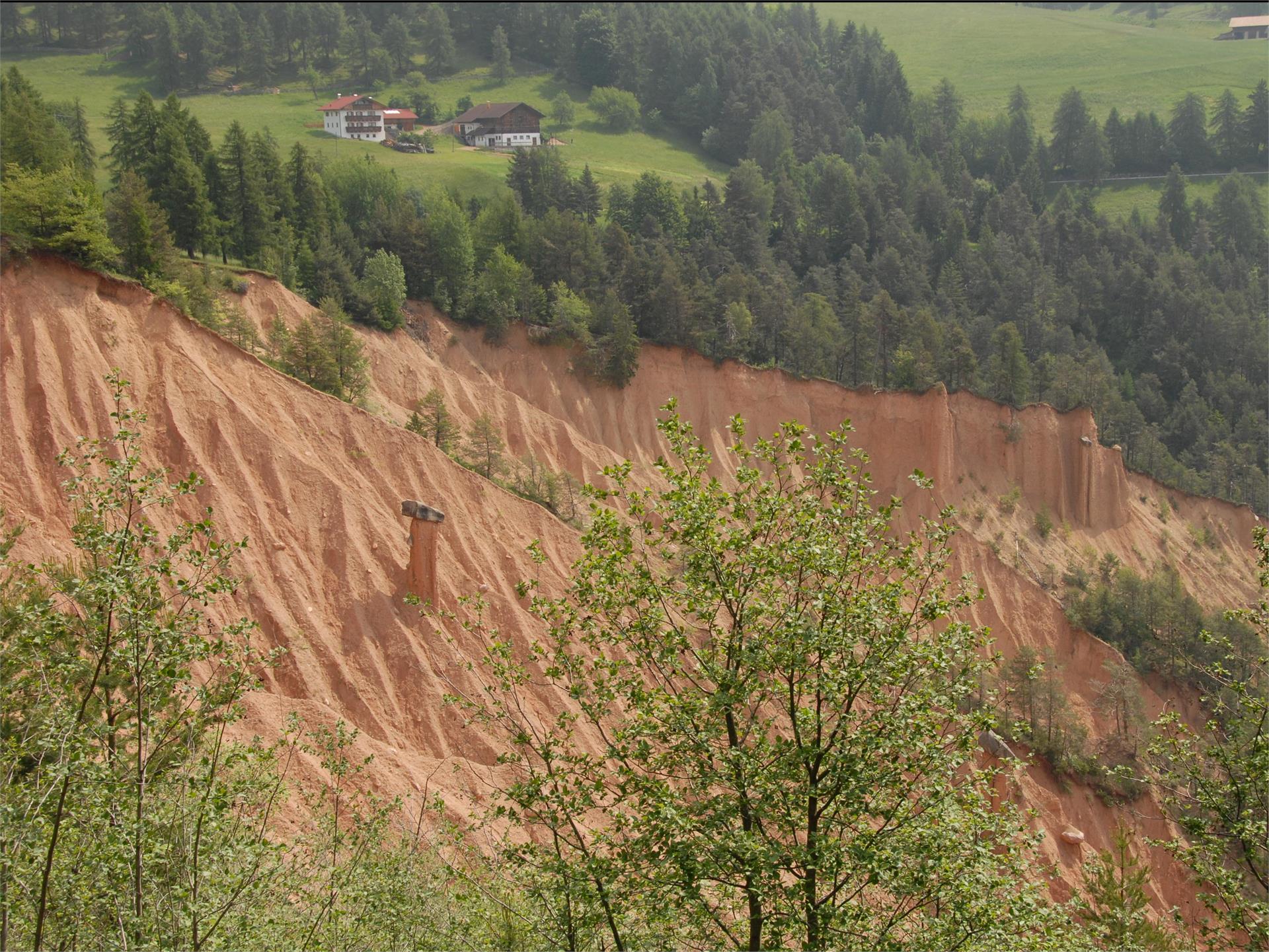 Piramidi di terra a Montoppio San Genesio Atesino 4 suedtirol.info